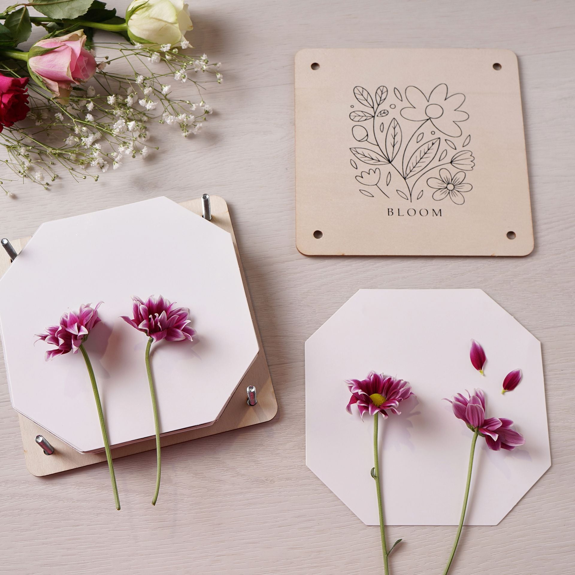 Apples To Pears Flower Press & Frame Kit