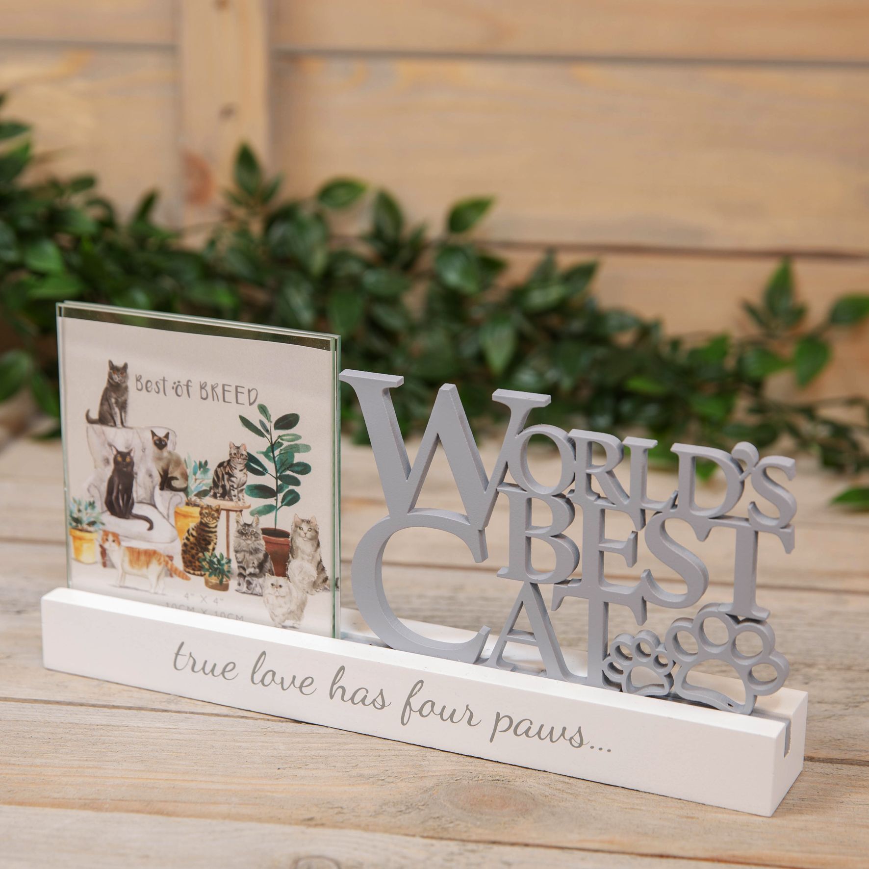 Best of Breed Photo Frame - 4" x 4" - Worlds Best Cat