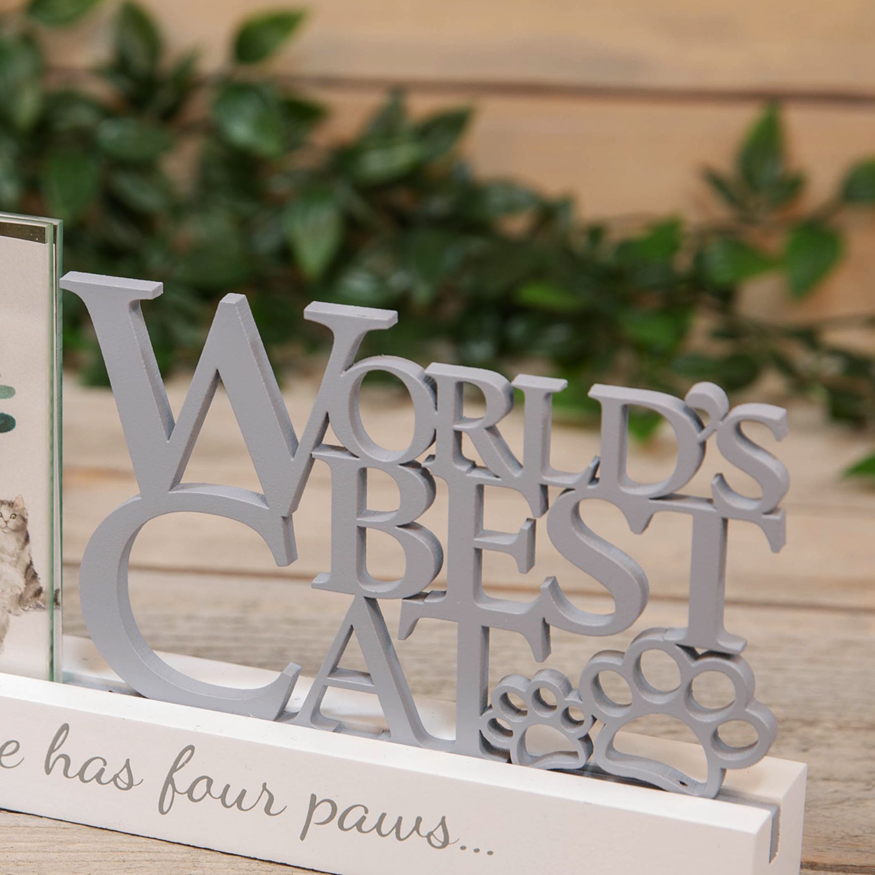 Best of Breed Photo Frame - 4" x 4" - Worlds Best Cat