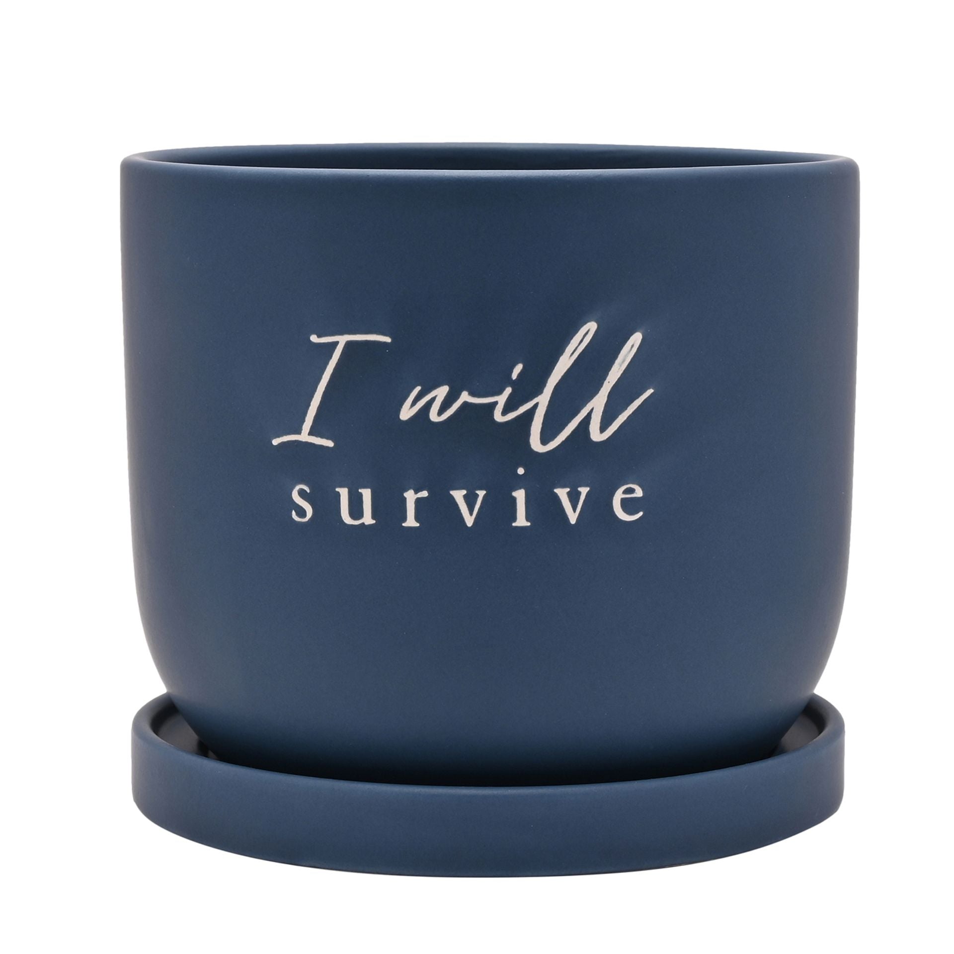 Country Living Ceramic Plant Pot - "I Will Survive"