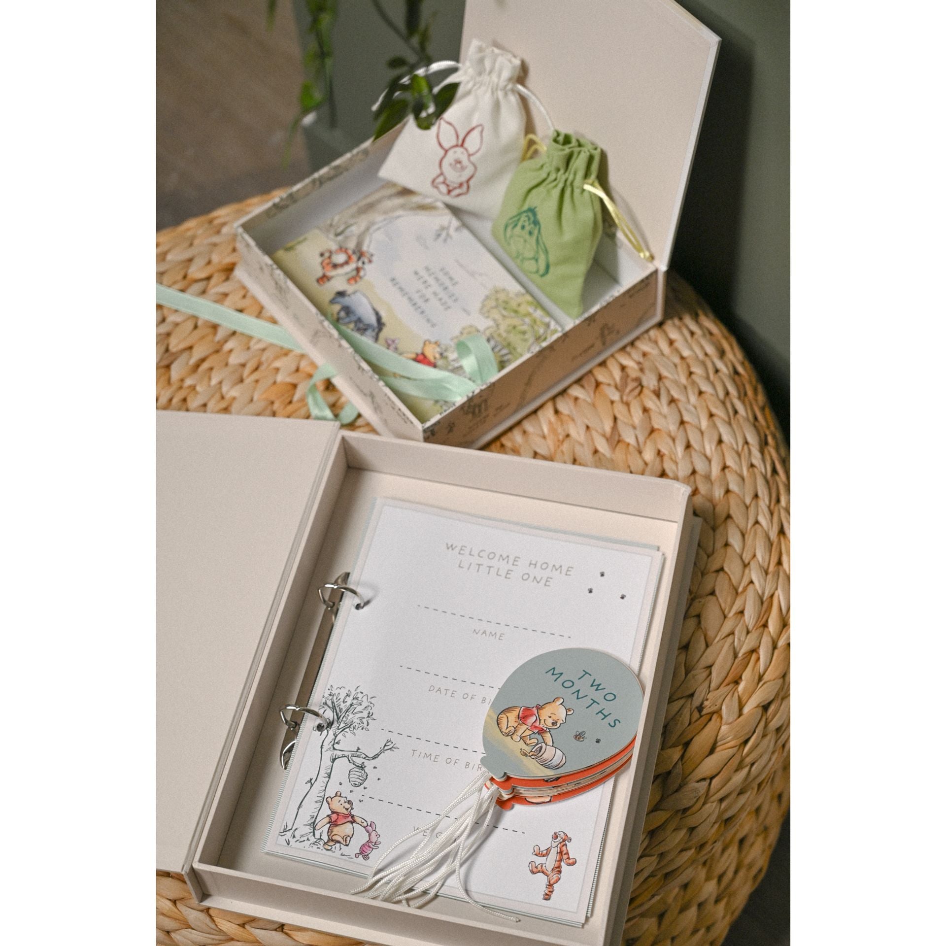 Disney Winnie The Pooh Milestone Album with Cards