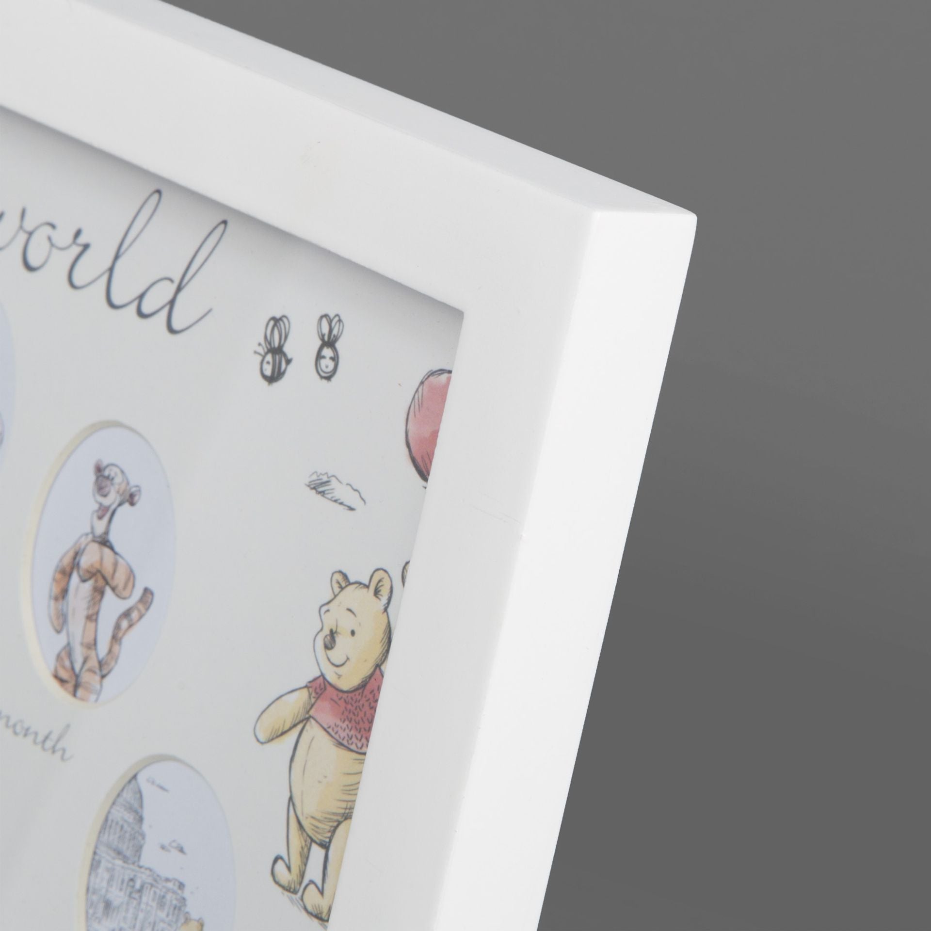 Disney Christopher Robin First Year Multi Aperture Frame