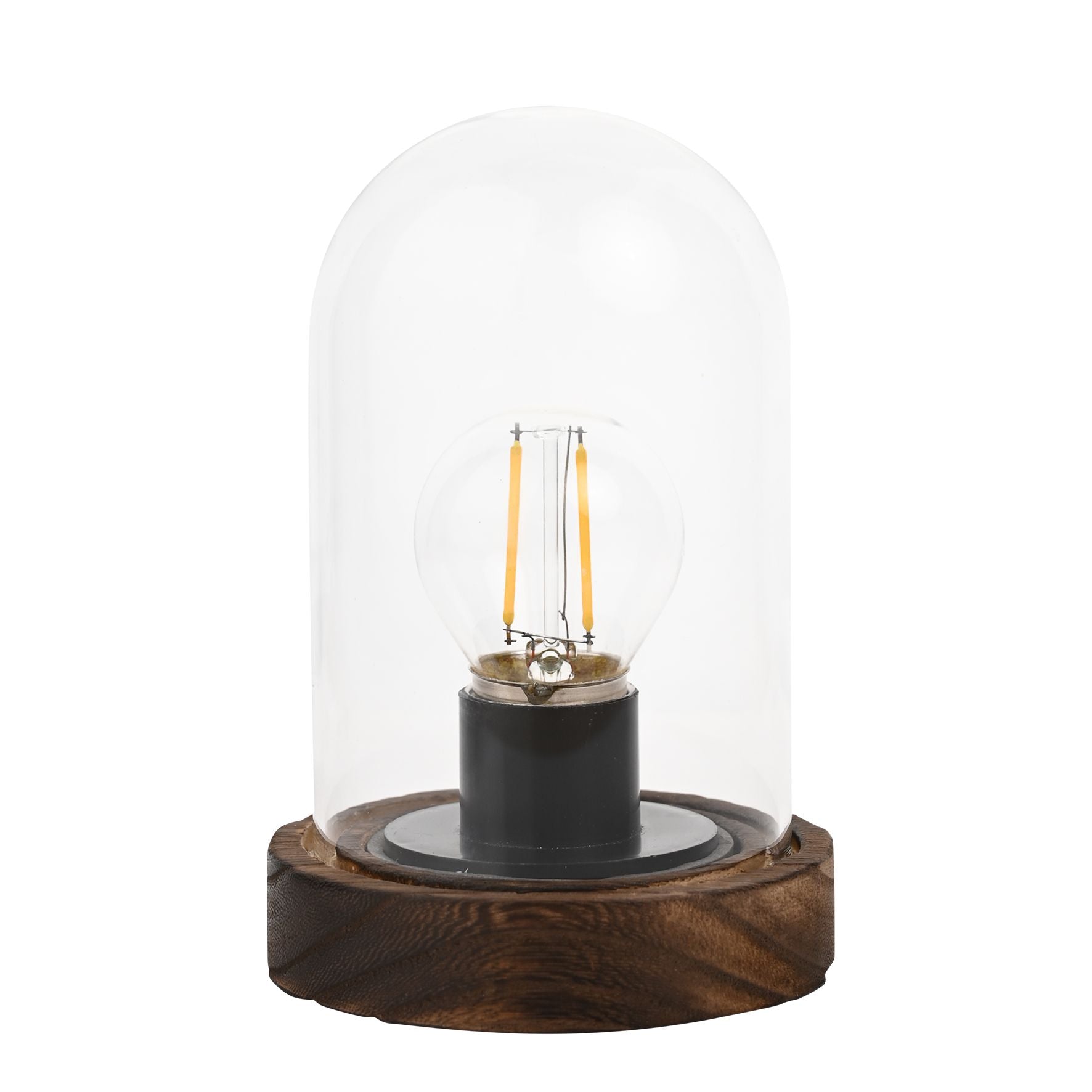 Hestia LED Light Up Glass Dome with Bulb - Small