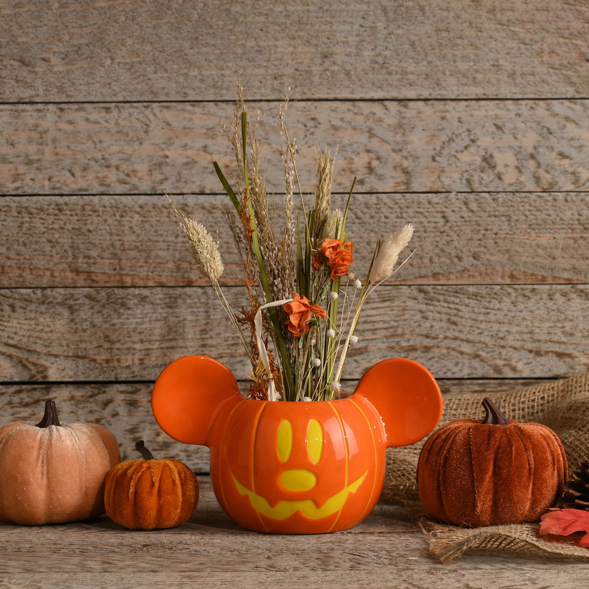 Disney Mickey Plant Pot