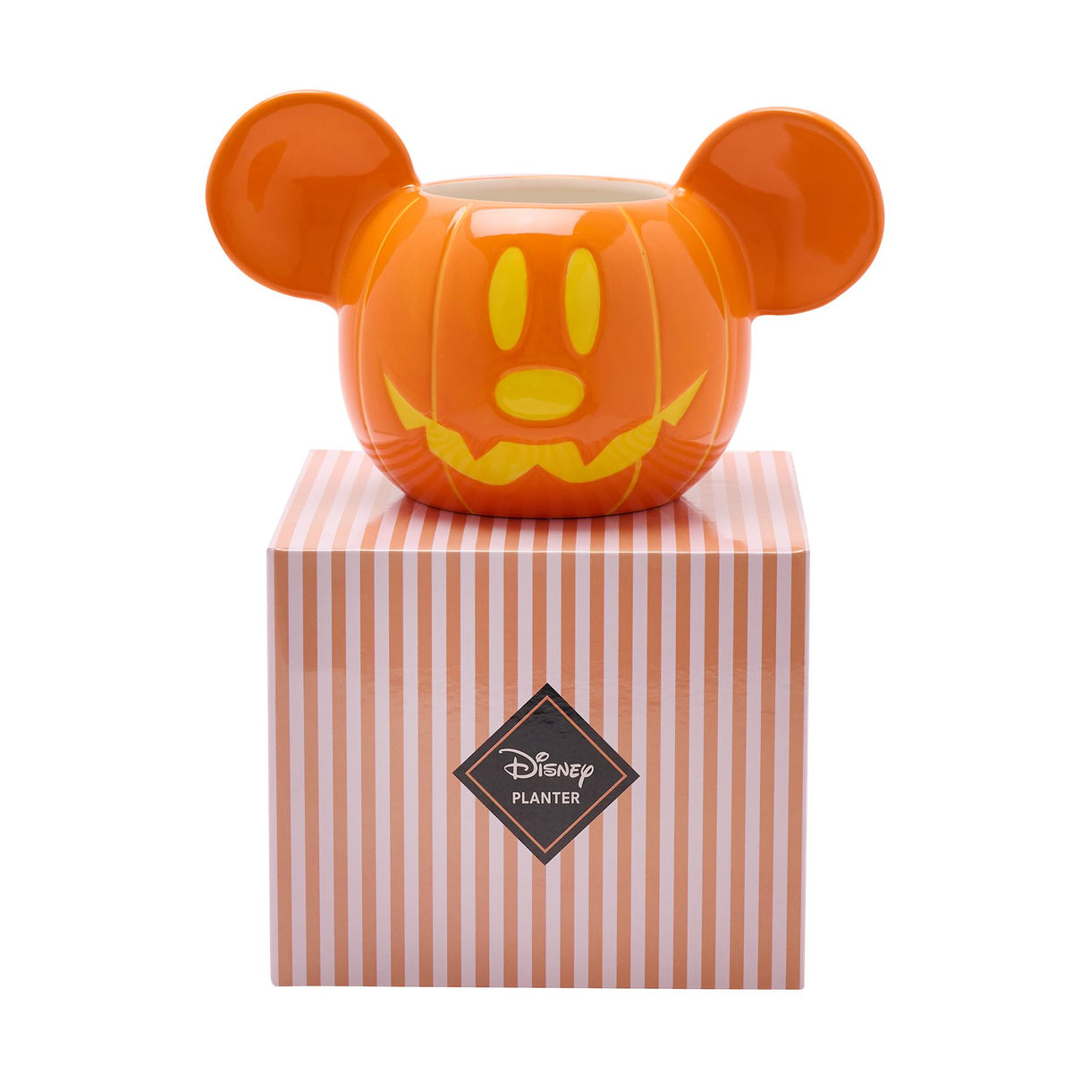 Disney Mickey Plant Pot