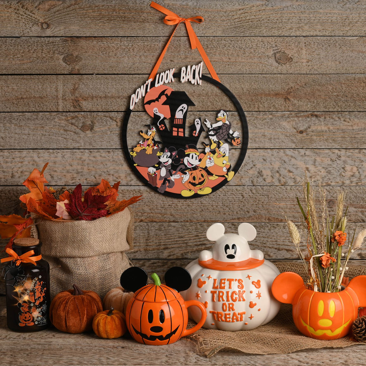 Disney Mickey Plant Pot