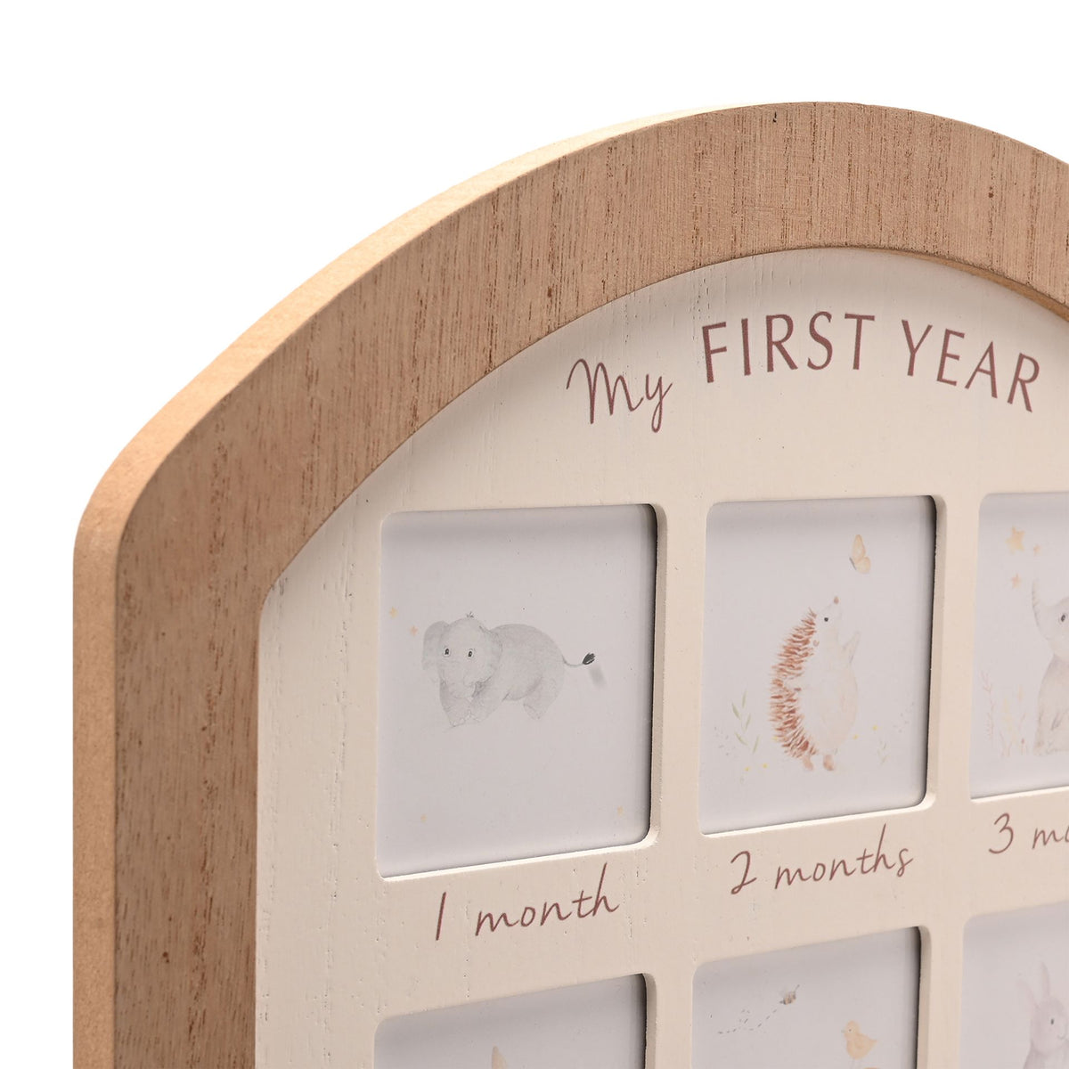 Little Roglets First Year Photo Frame