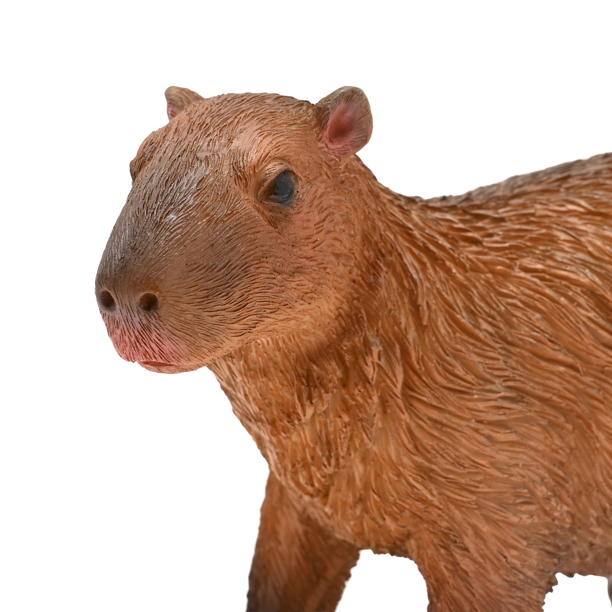 Naturecraft Capybara Standing 10cm