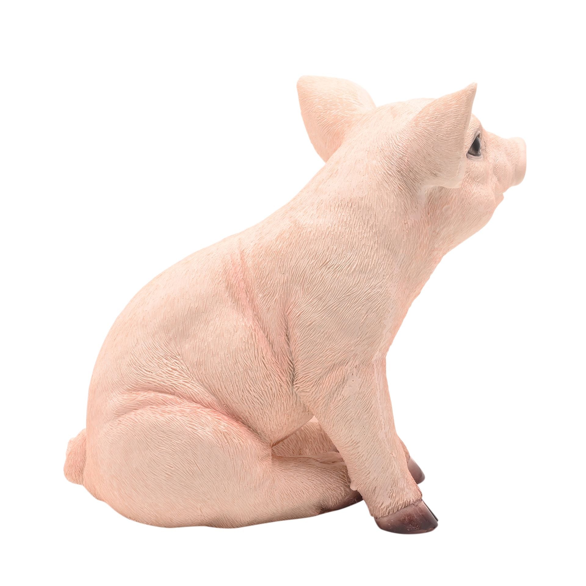 Naturecraft Sitting Pig 23.5cm