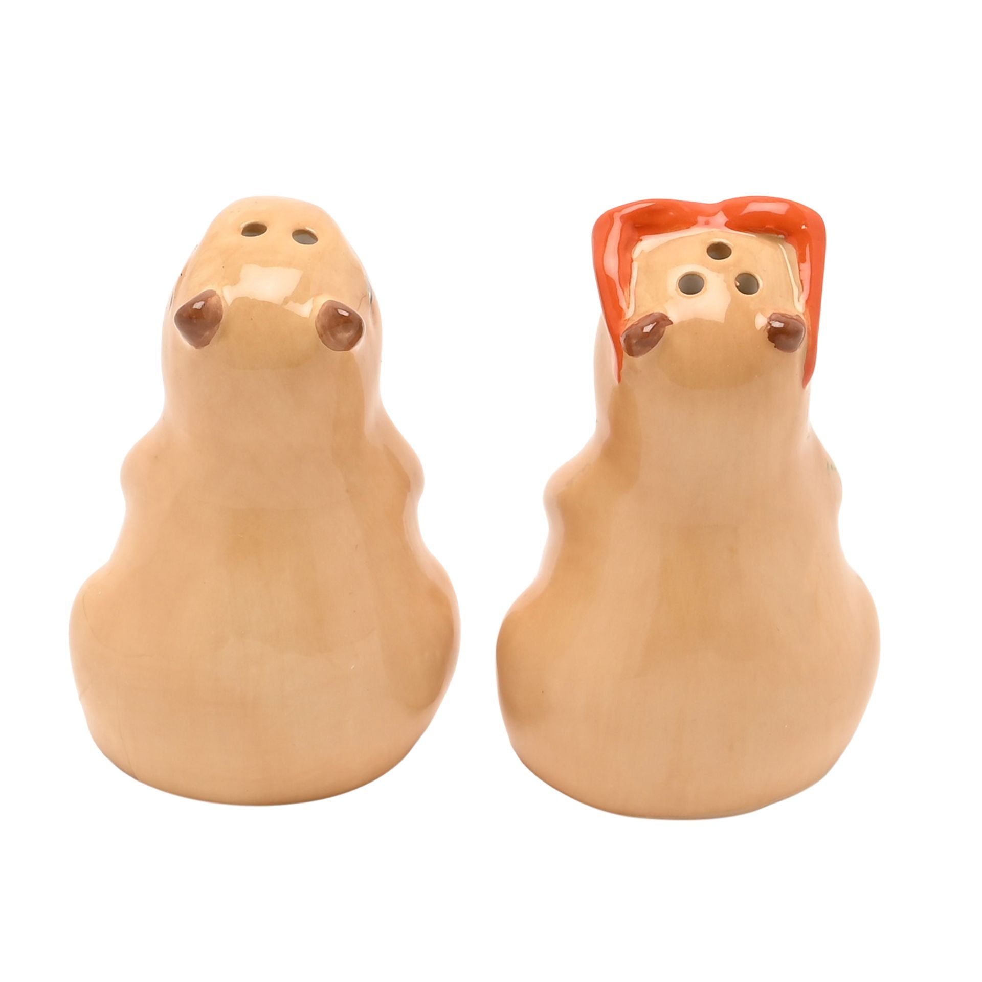 The Feel Good Club Capybara Salt & Pepper Pots