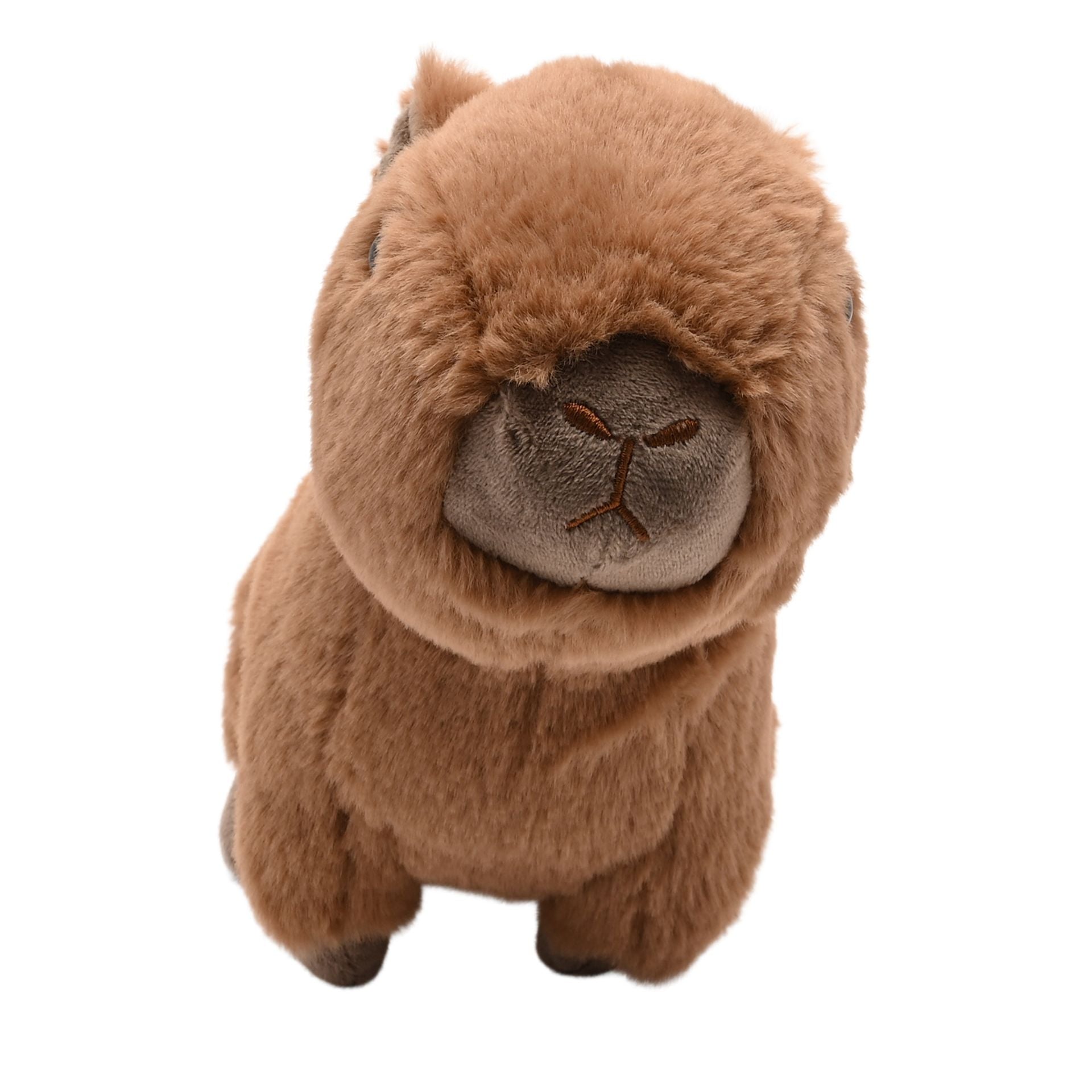 Carrie The Plush Capybara 24cm
