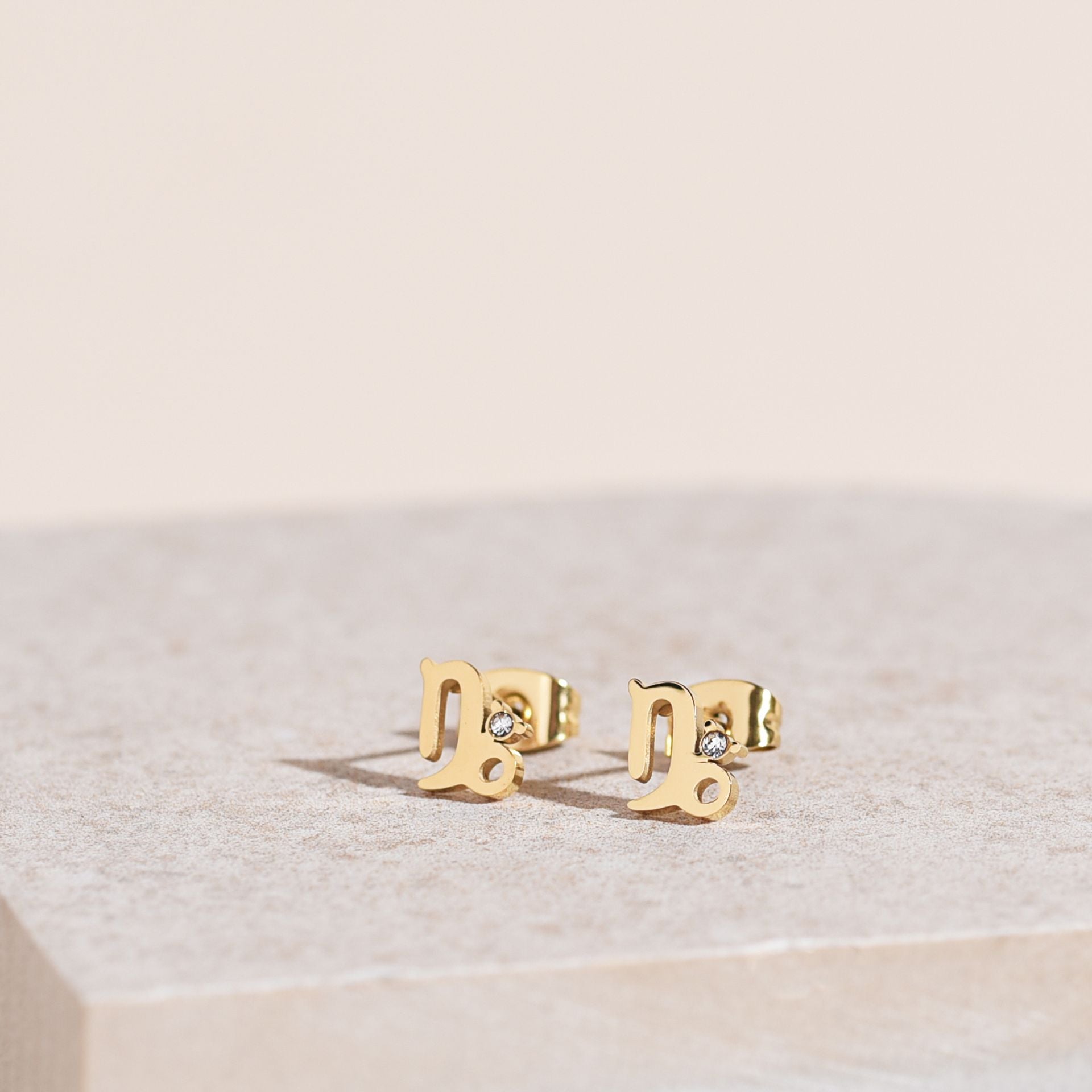 Serenity Zodiac 18k Gold Plated Earrings - Capricorn