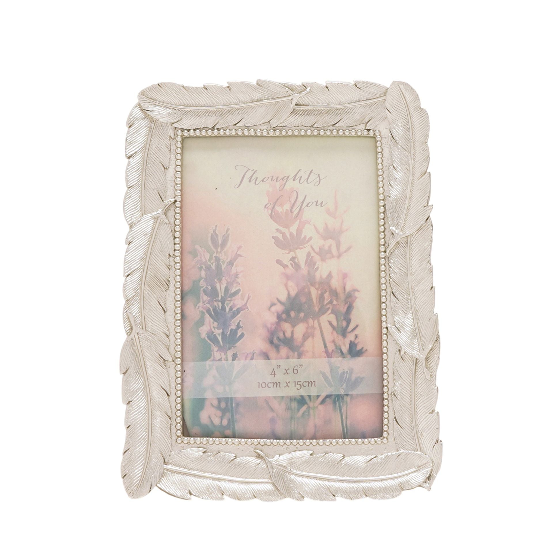 Thoughts of You Feathers Photo Frame 4" x 6"