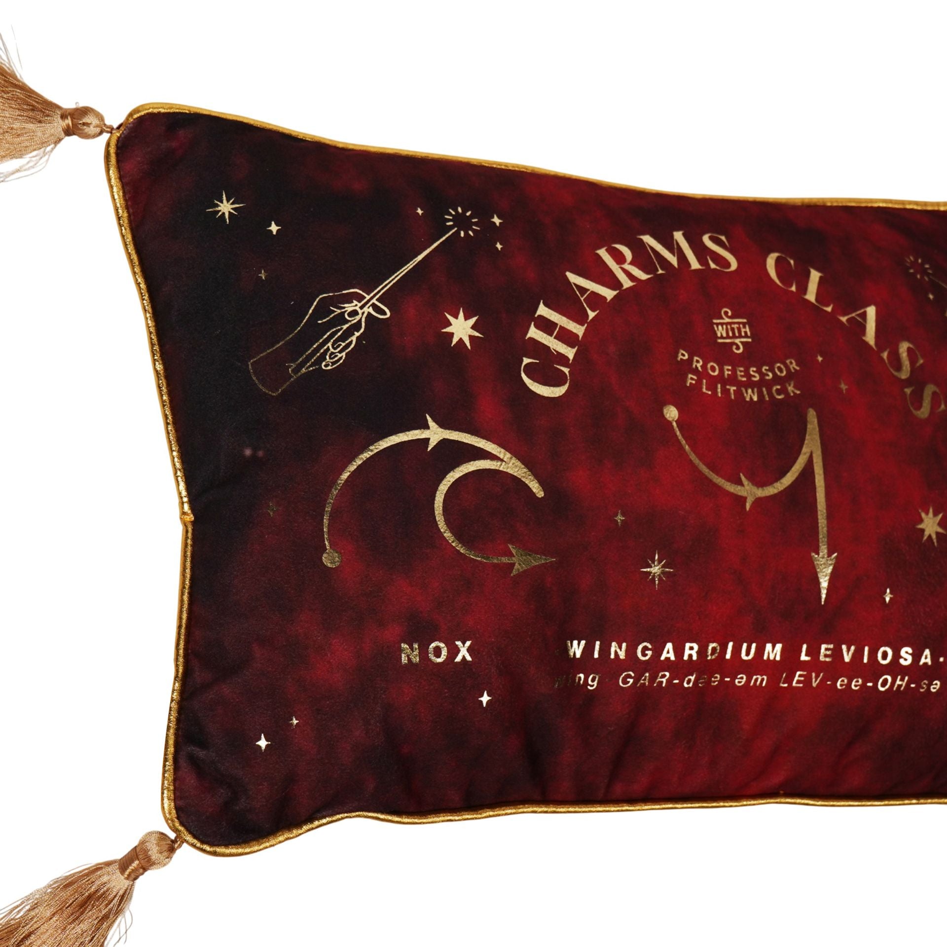 Harry Potter Alumni Velvet Cushion 50 x 30cm - Charms Class