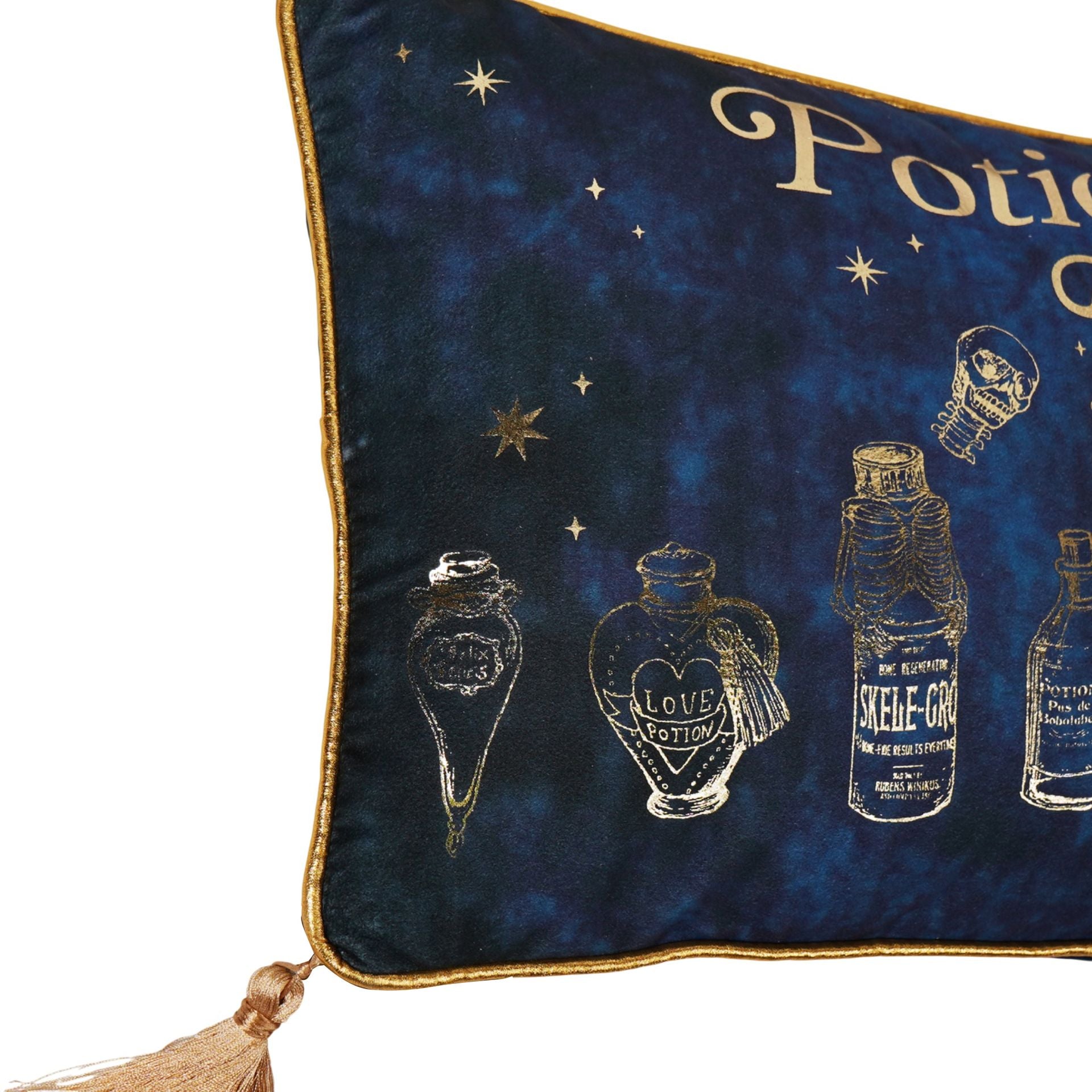 Harry Potter Alumni Velvet Cushion 50 x 30cm - Potions Class
