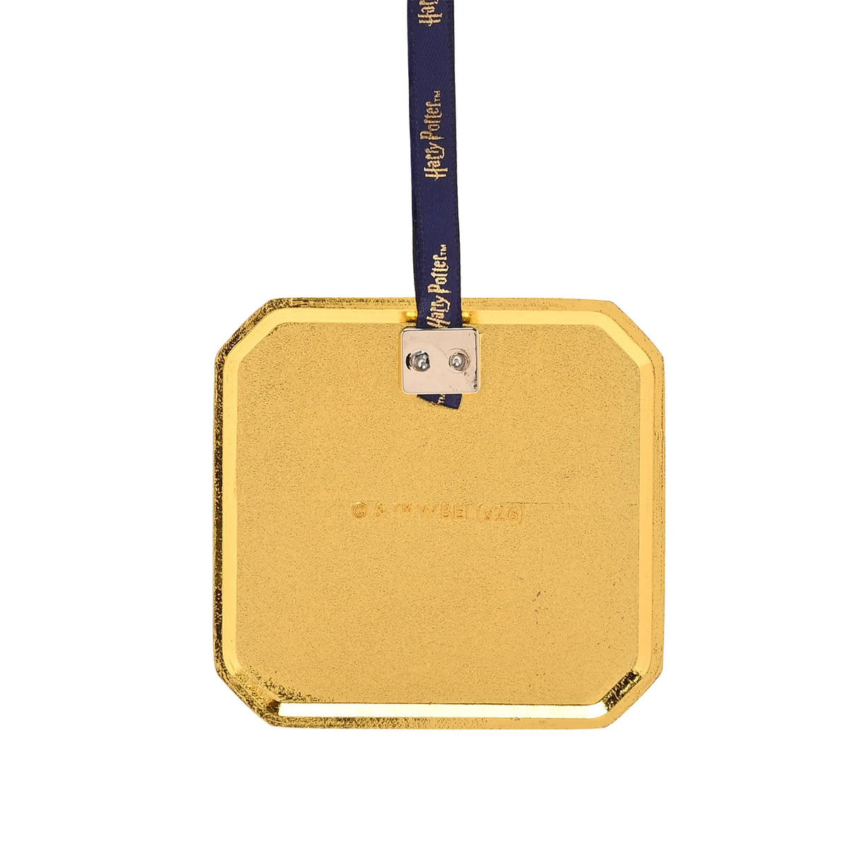Harry Potter Alumni Metal Epoxy Hanging Dec - Potions Class