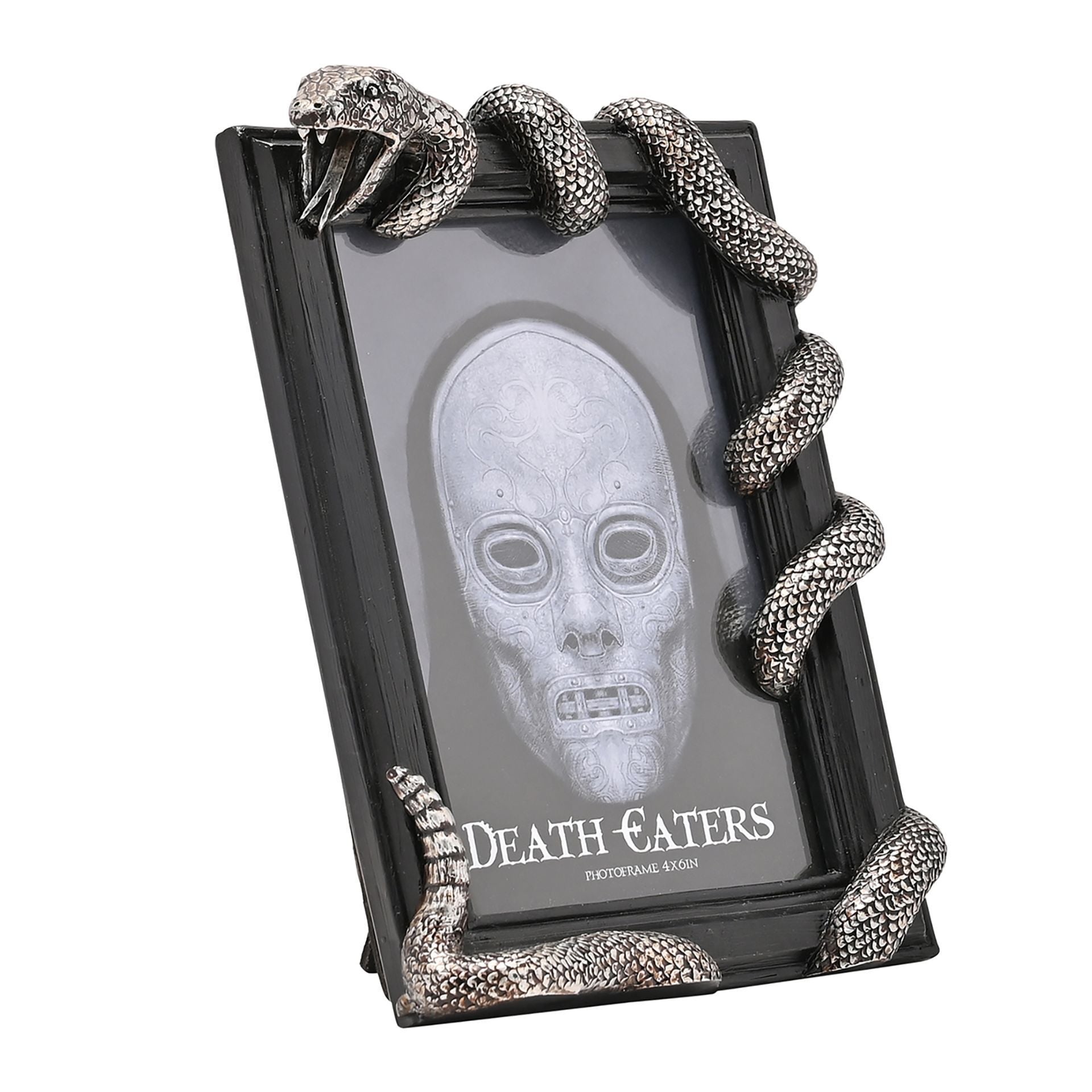 Warner Bros Harry Potter Dark Arts Frame - Nagini