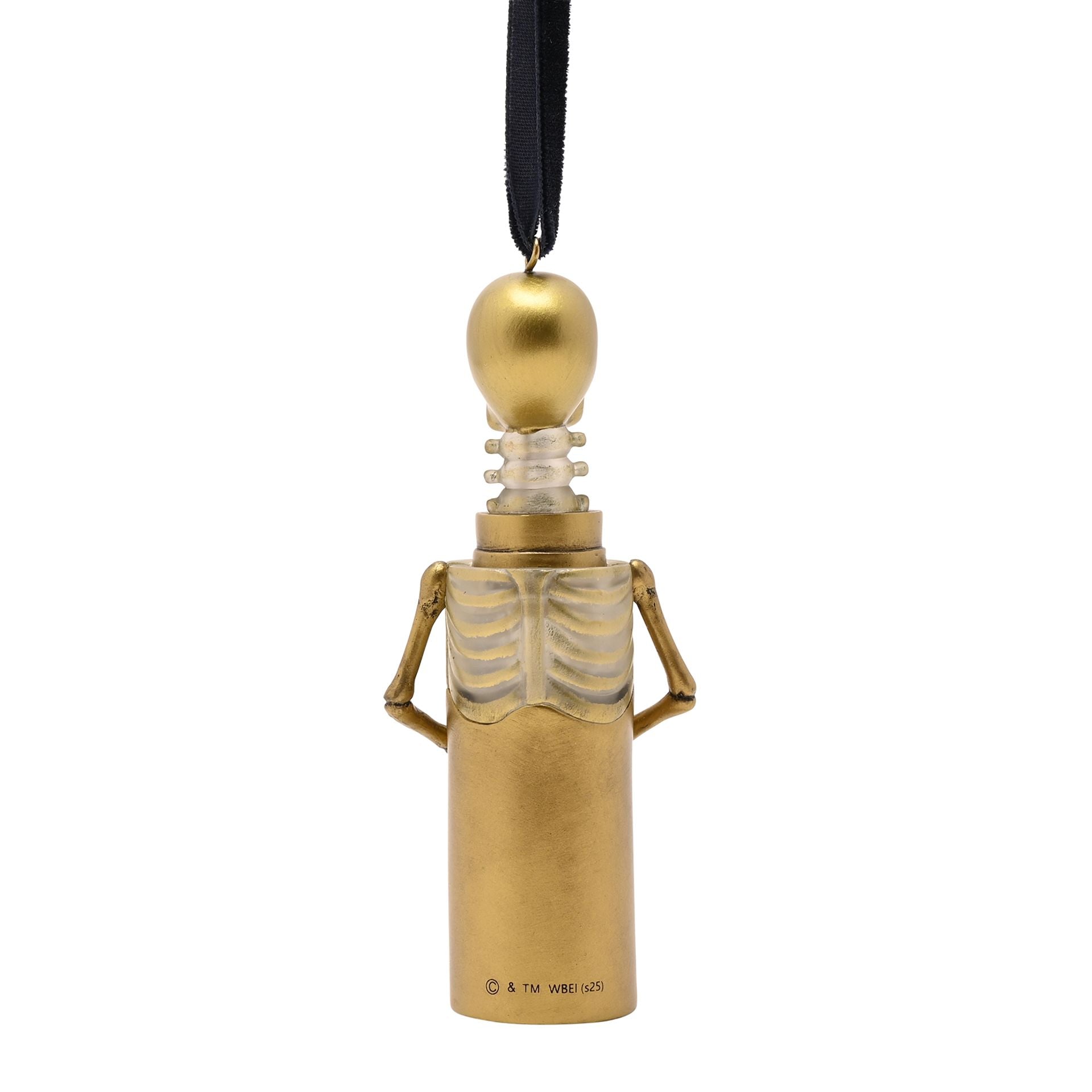 Warner Bros Harry Potter Alumni LED Hanging Decoration - Skelegro