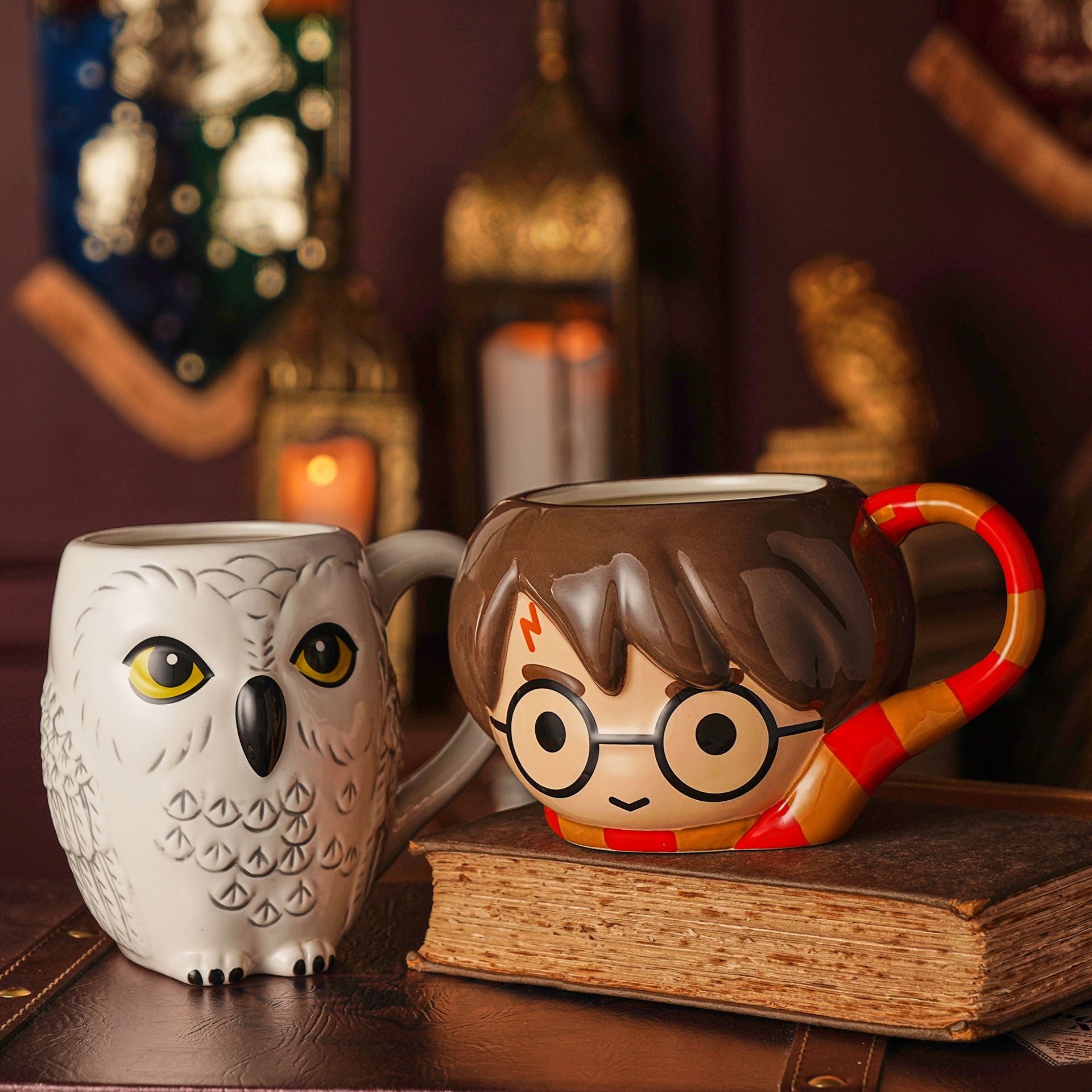 Harry Potter Back To Hogwarts 3D Mug - Harry