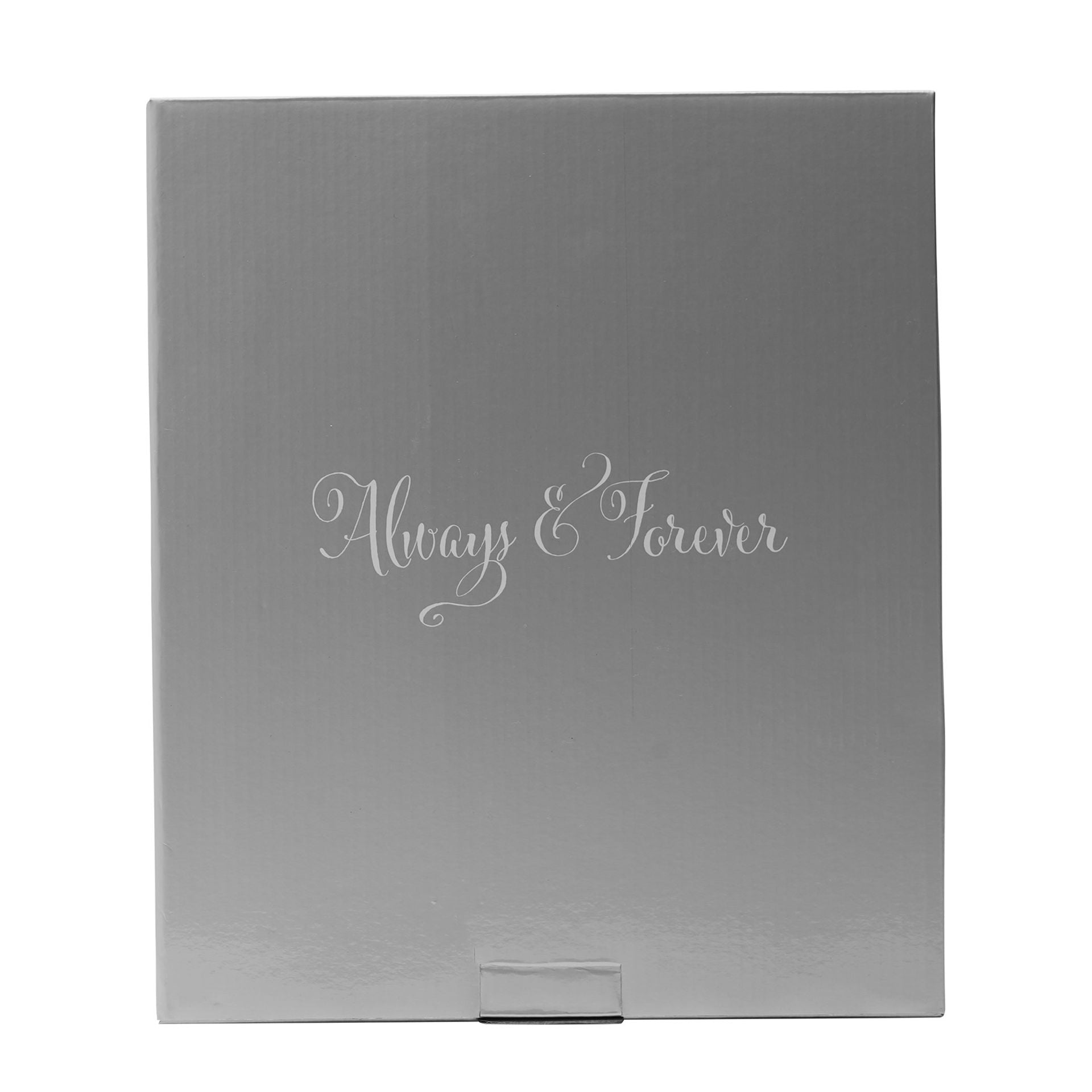 Always & Forever Glass Frame Butterflies 8" x 10"
