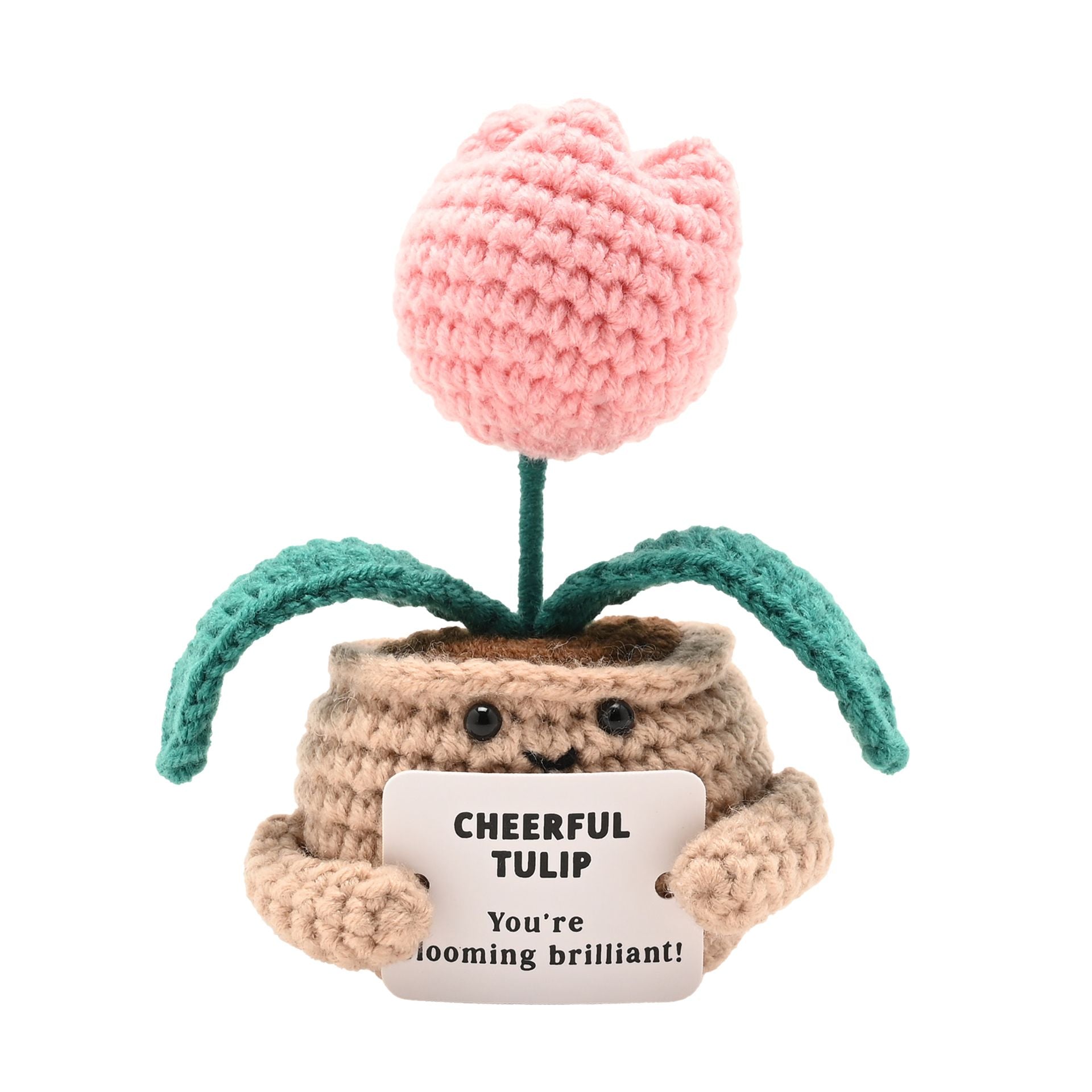 Apples To Pears Positivity Crochet Set - Tulip