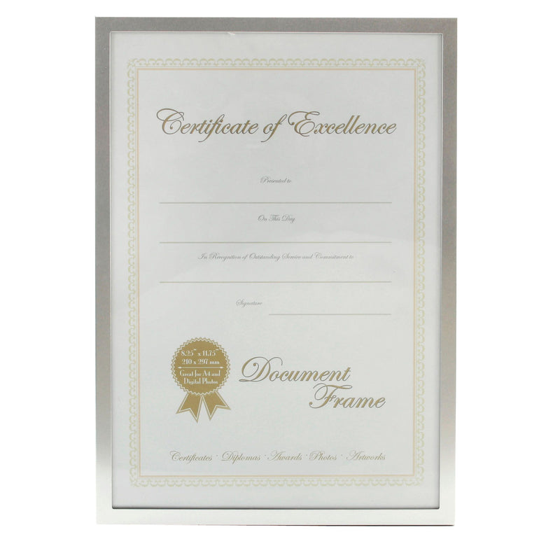 Silver Col Surround Document A4 Size Frame