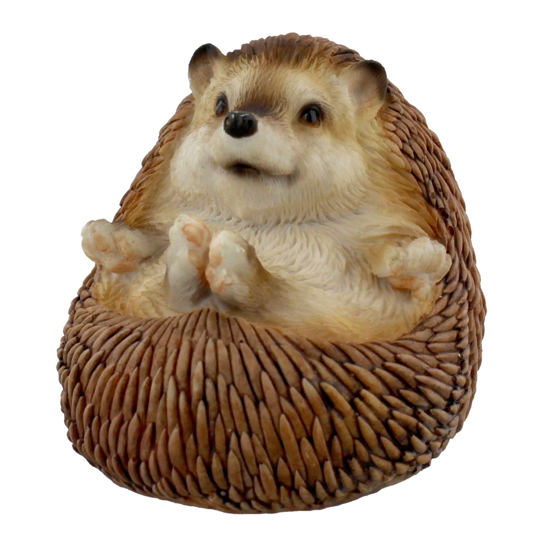 Naturecraft Collection Hedgehog Lying on Back