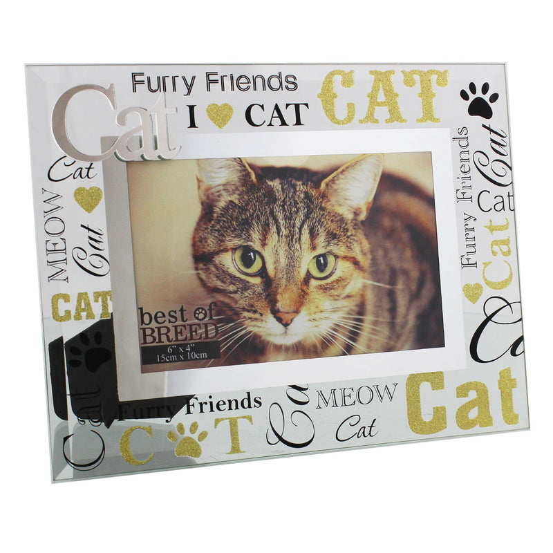Best of Breed Glass Photo Frame 3D Words 6" x4 " Cat