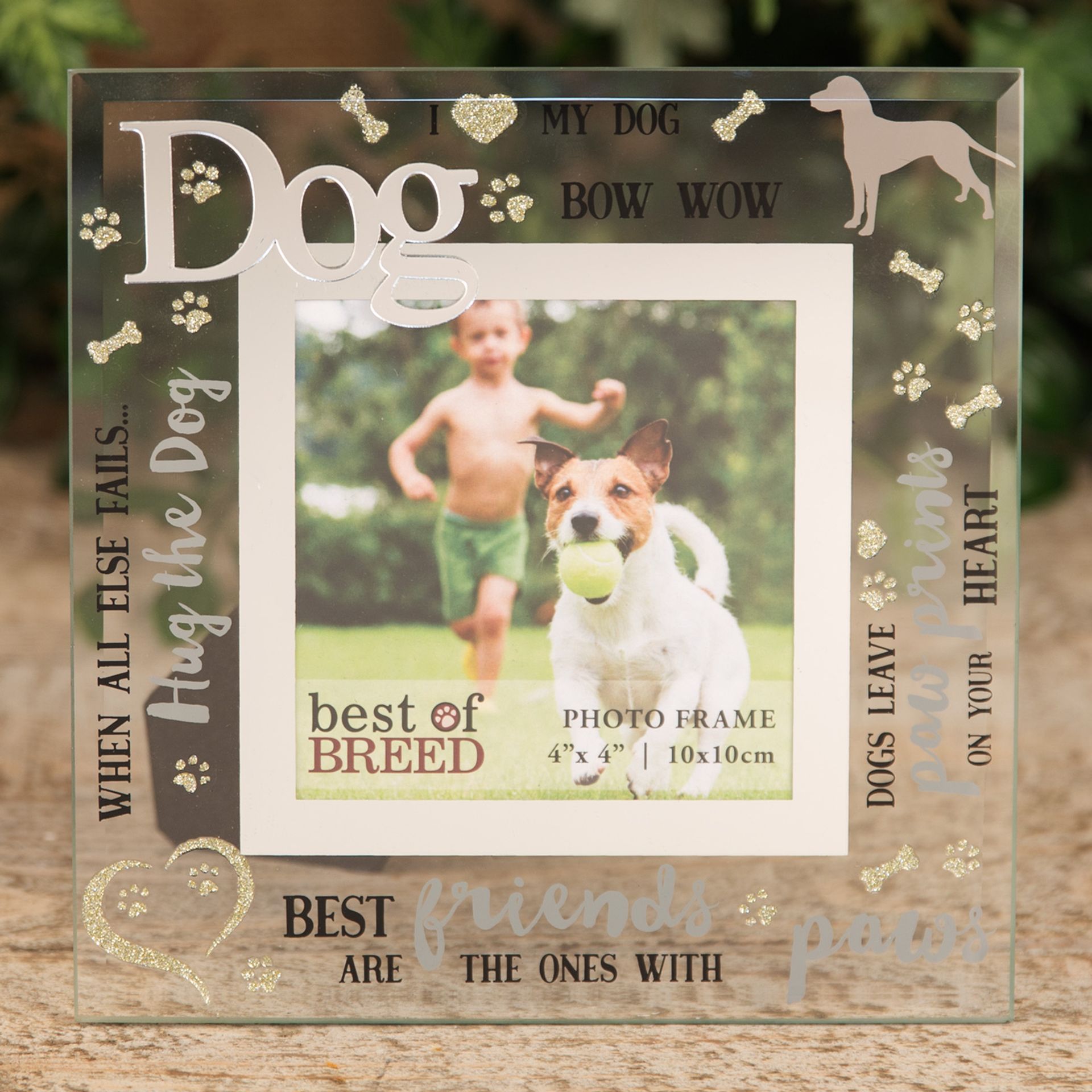Best of Breed Glass Photo Frame 4" x 4" - Dog