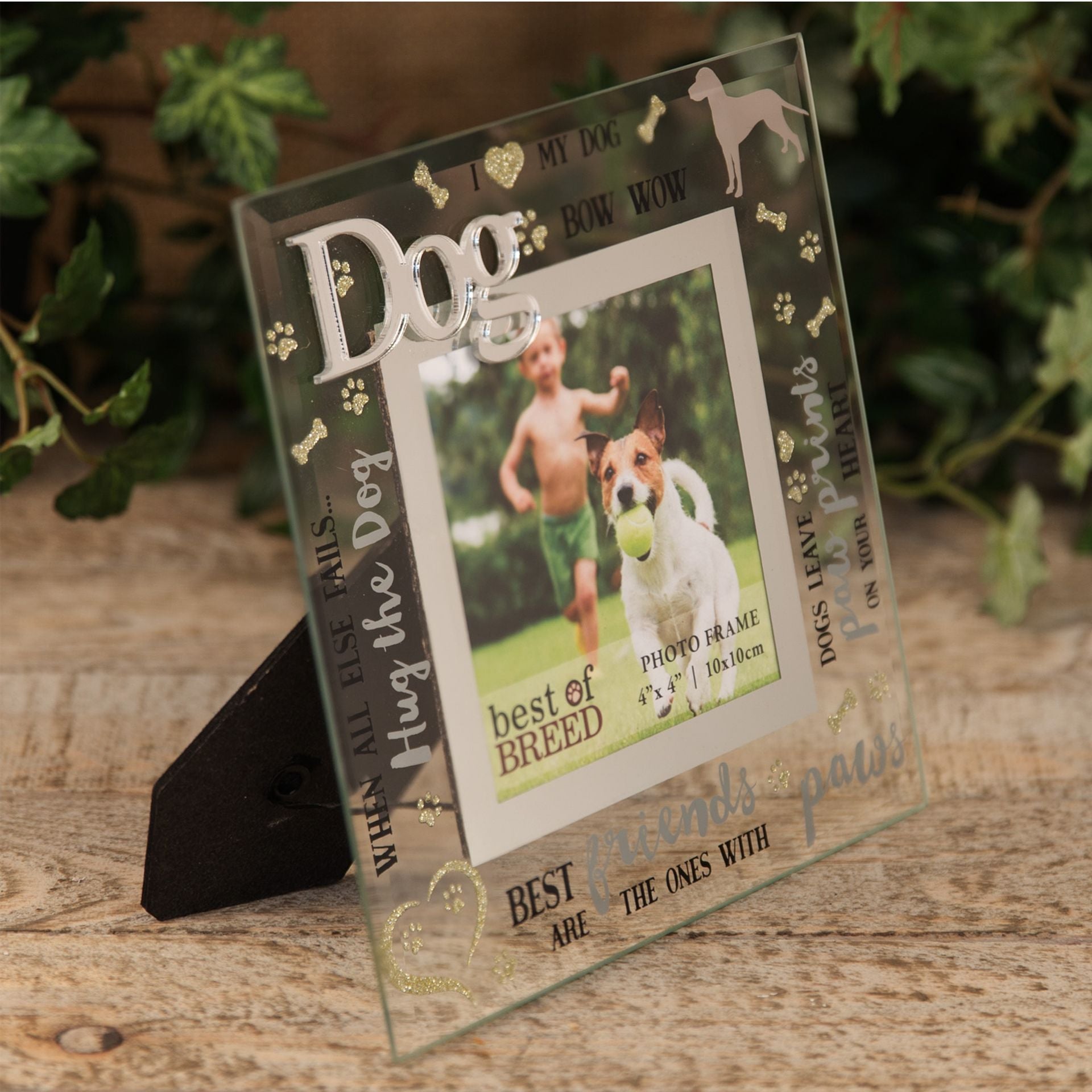 Best of Breed Glass Photo Frame 4" x 4" - Dog