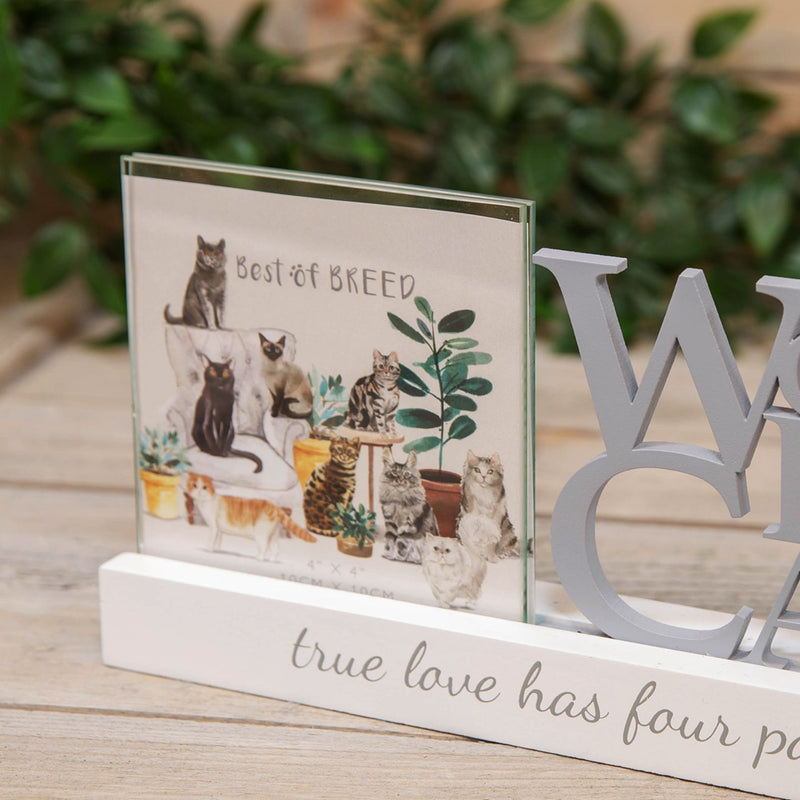 Best of Breed Photo Frame - 4" x 4" - Worlds Best Cat