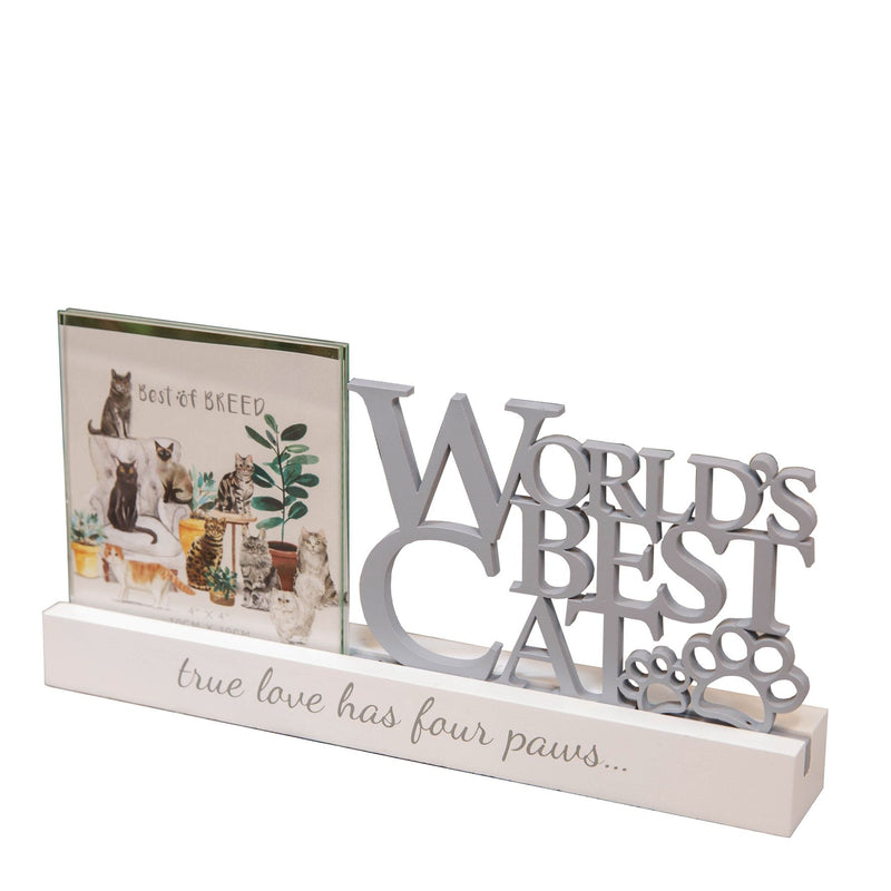 Best of Breed Photo Frame - 4" x 4" - Worlds Best Cat