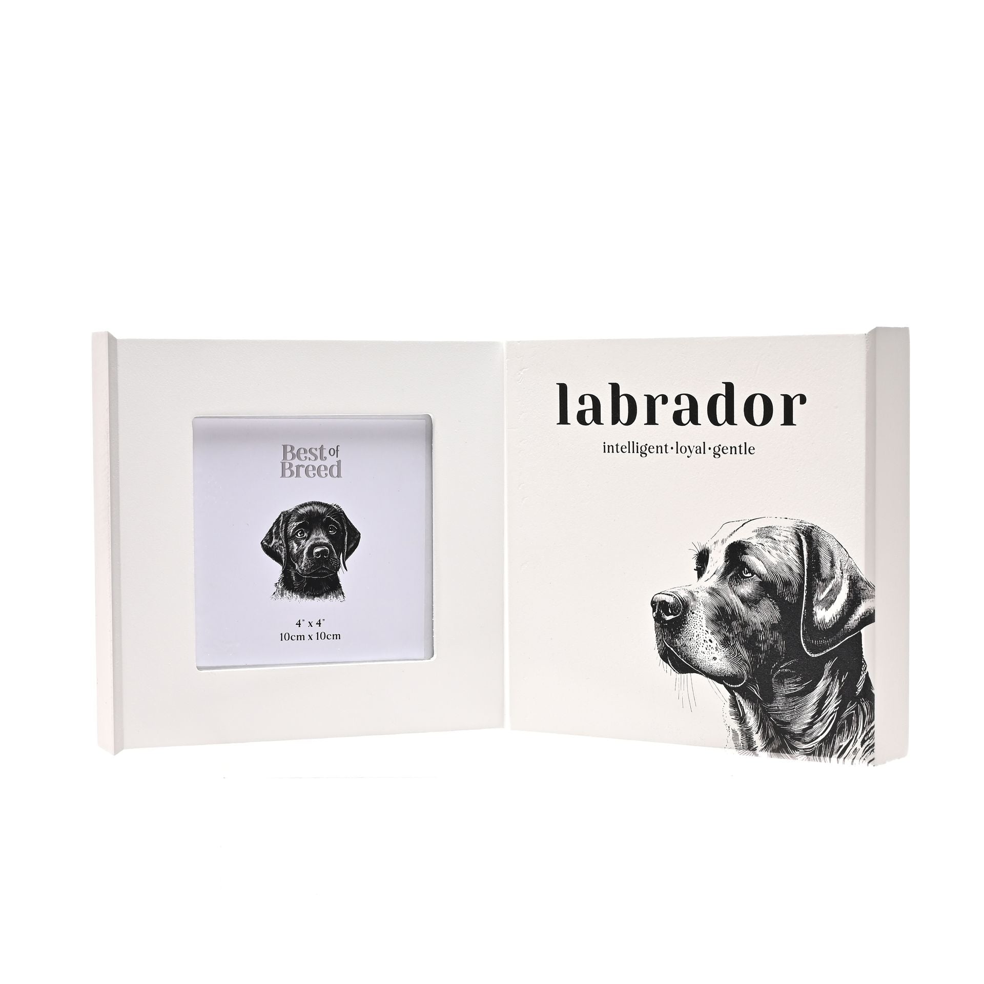 Best of Breed Labrador Frame and Plaque Set - 3.5" x 3.5"