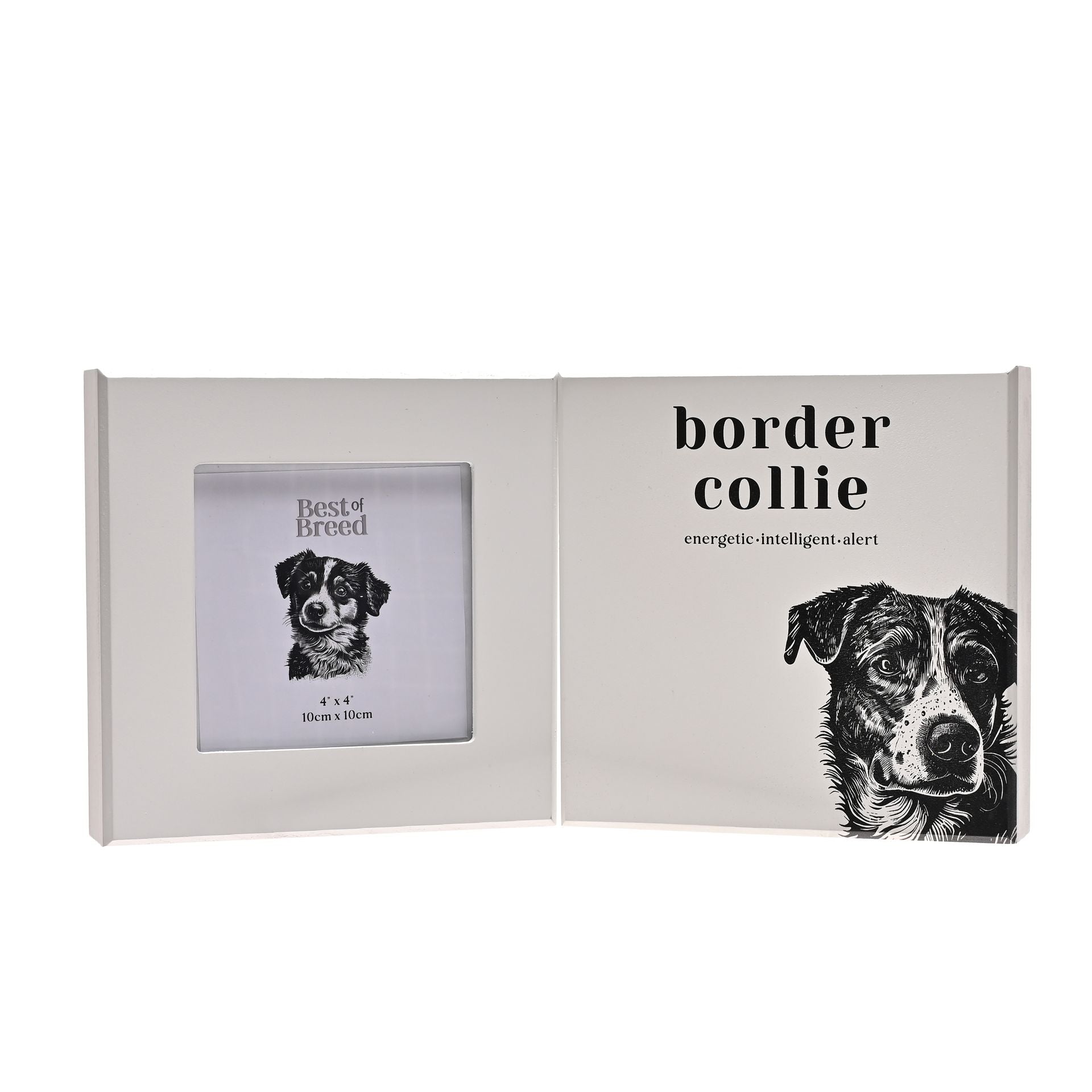 Best of Breed Border Collie Frame and Plaque Set - 3.5" x 3.5"