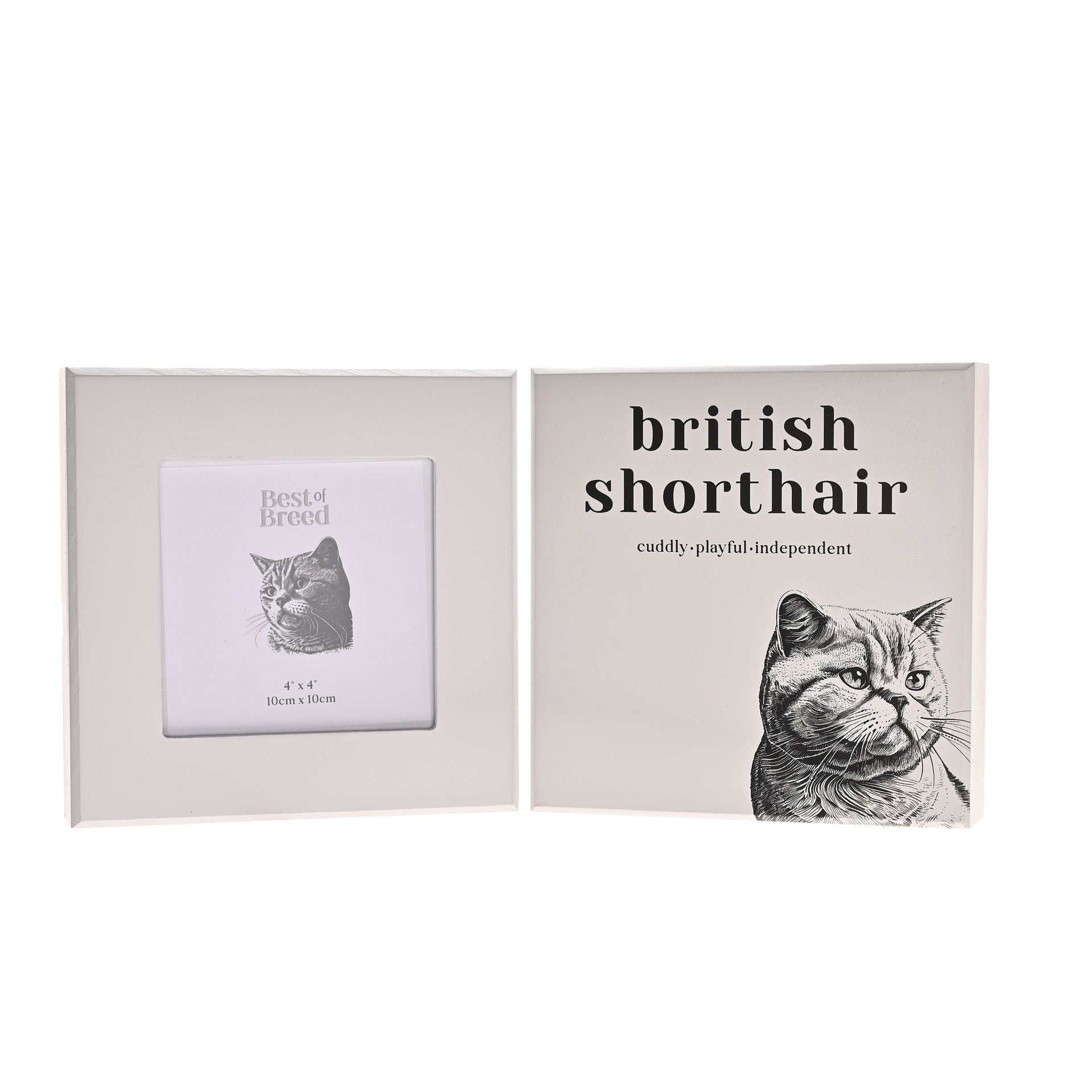 Best of Breed British Shorthair Cat Frame and Plaque Set - 3.5" x 3.5"