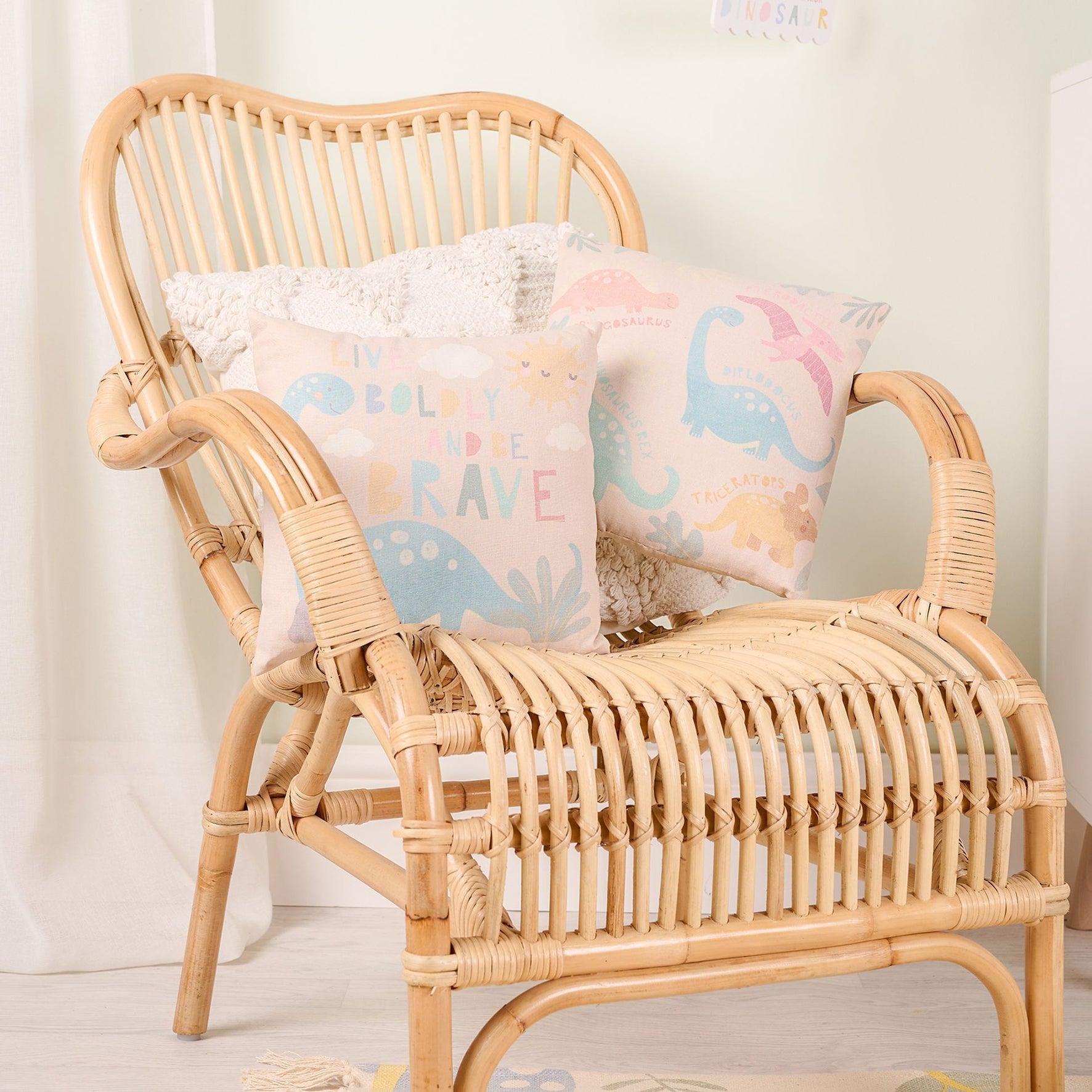 Petit Cheri Dinosaur Cushion - Names