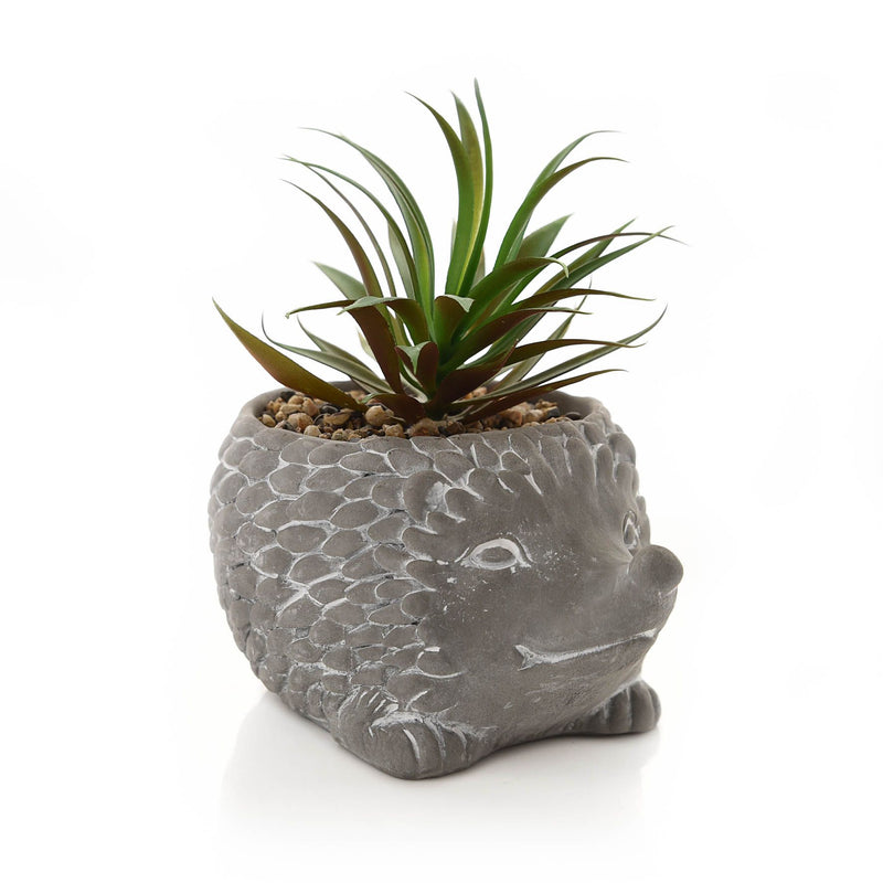 Cement Effect Hedgehog Planter with Succulent