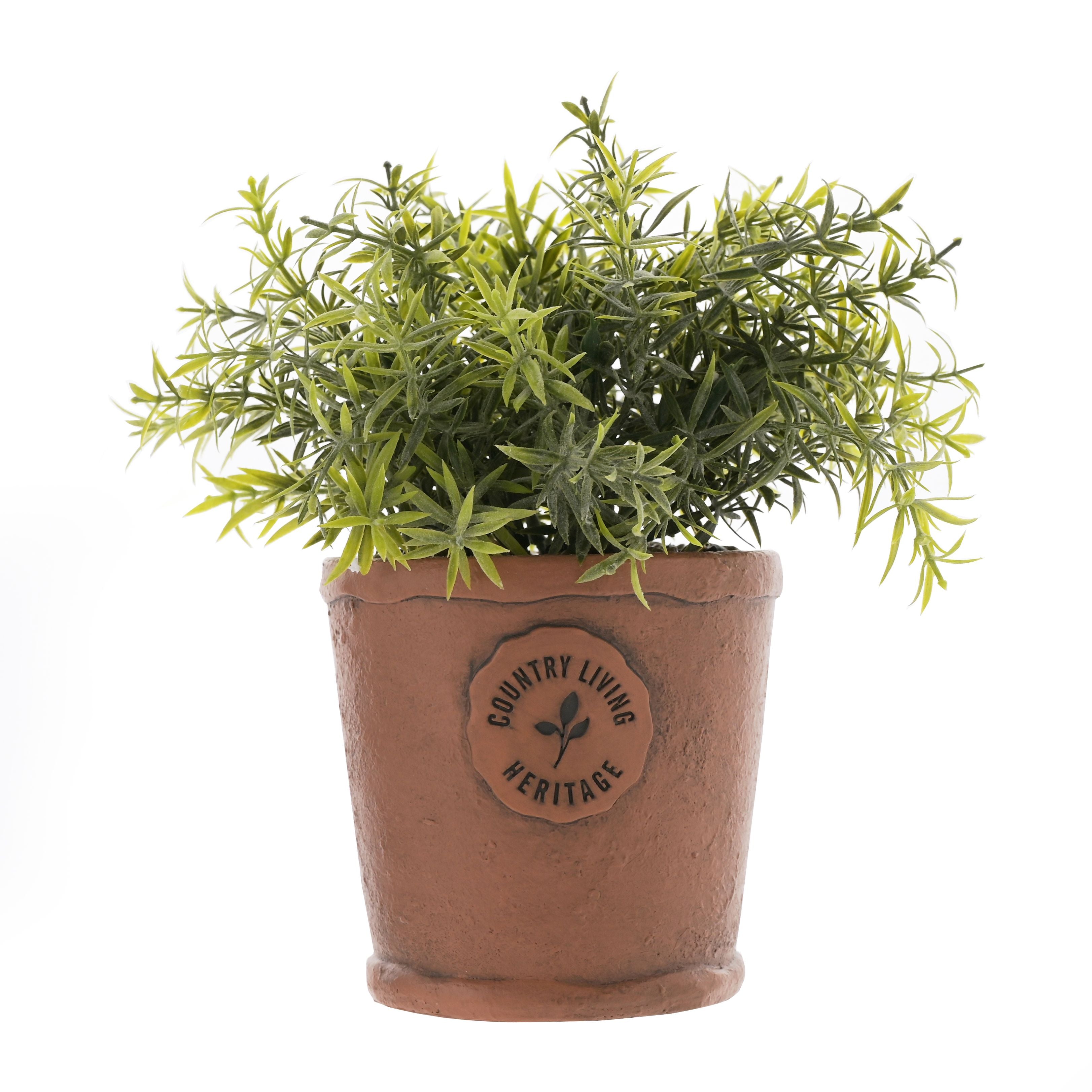 Country Living Aged Herb Pot 10cm Diameter