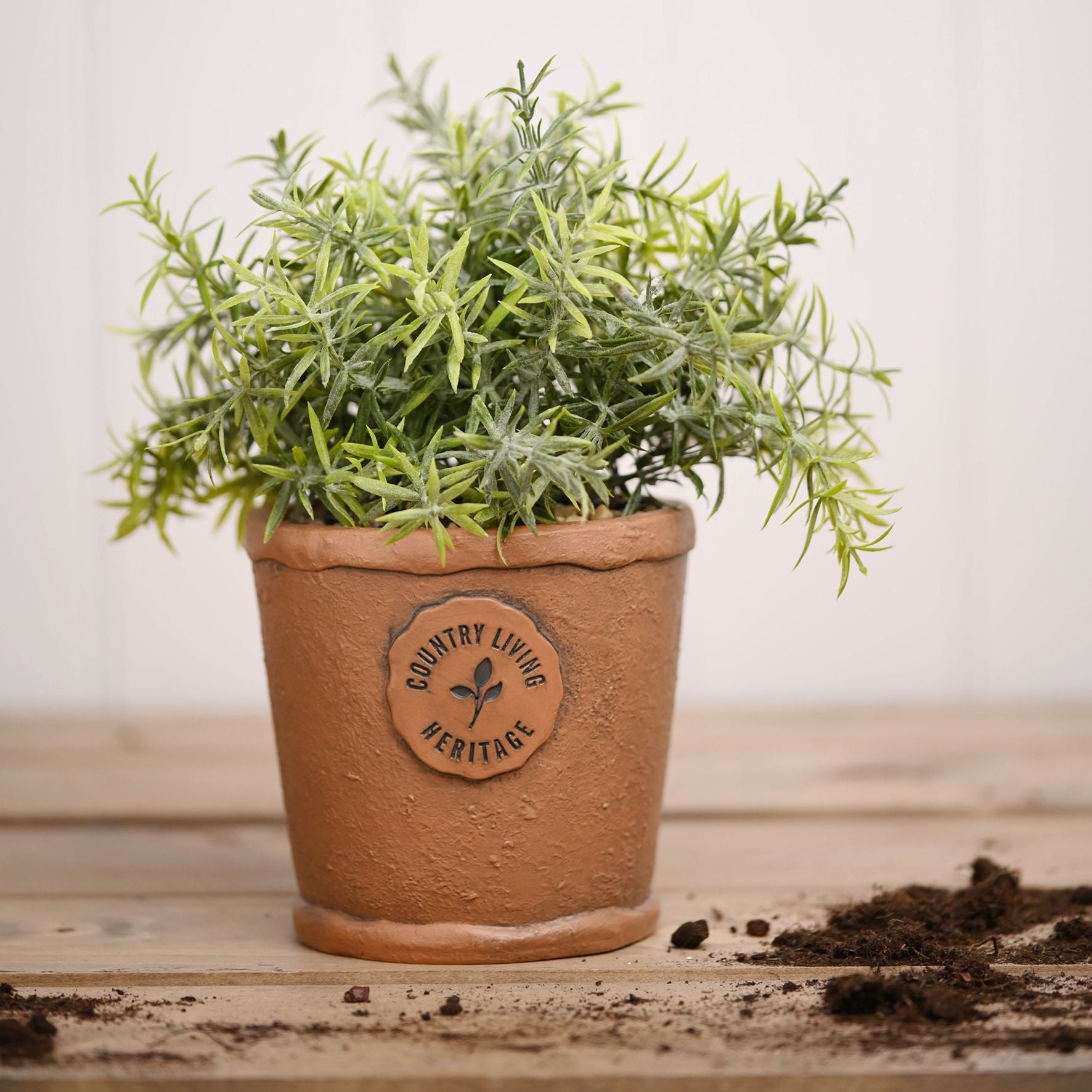 Country Living Aged Herb Pot 10cm Diameter