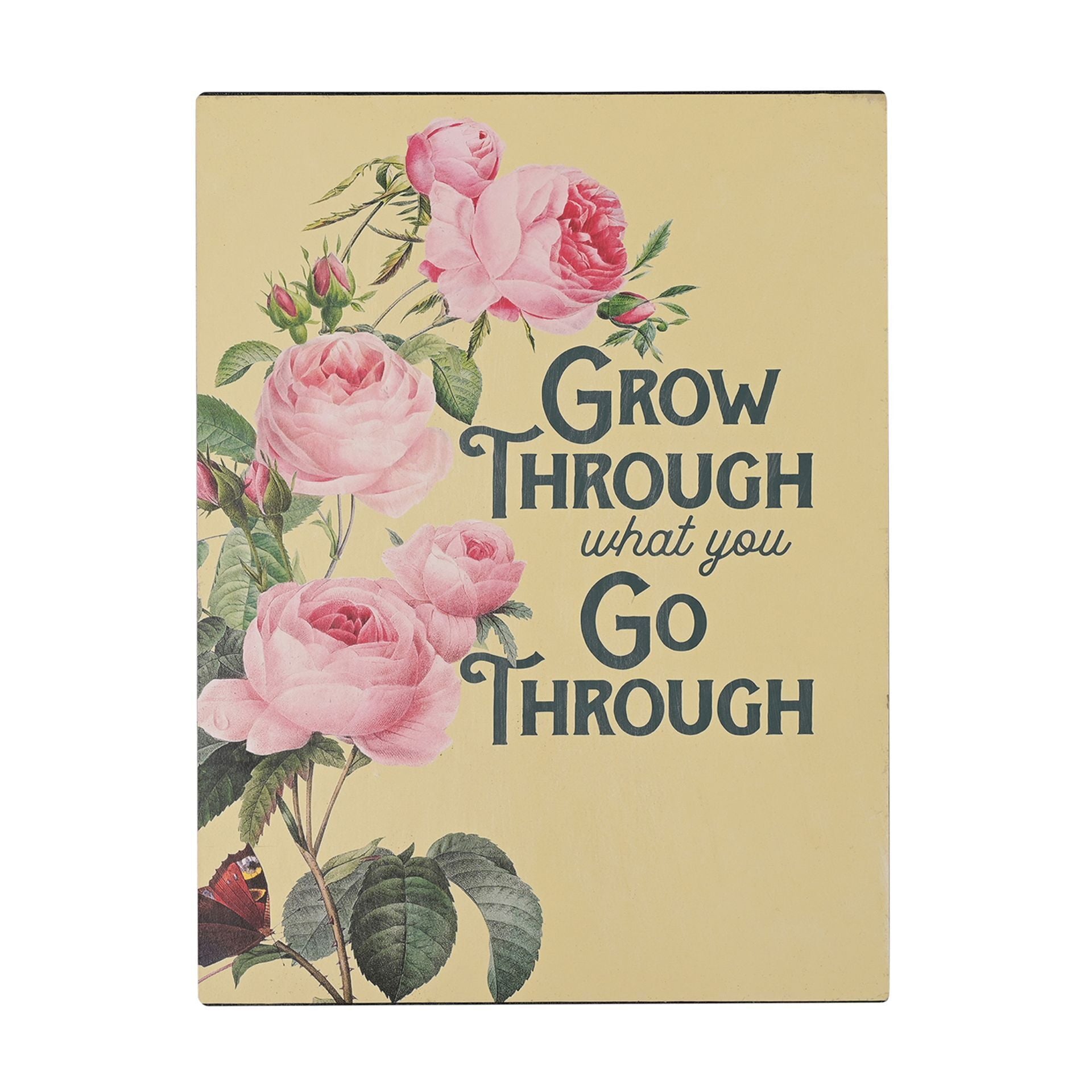 Country Living Wall Plaque 40cm - Grow Through What You Go Through
