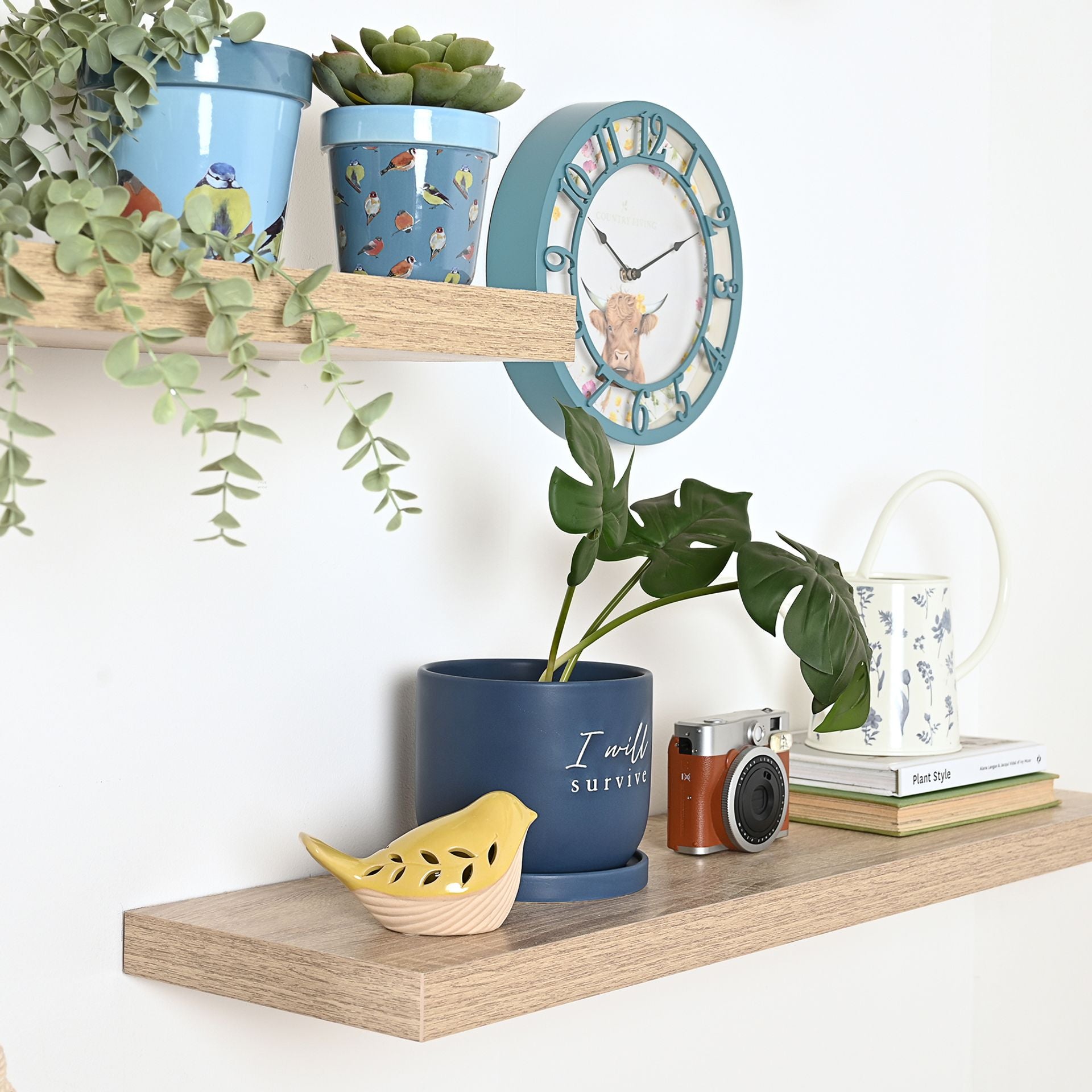 Country Living Ceramic Plant Pot - "I Will Survive"