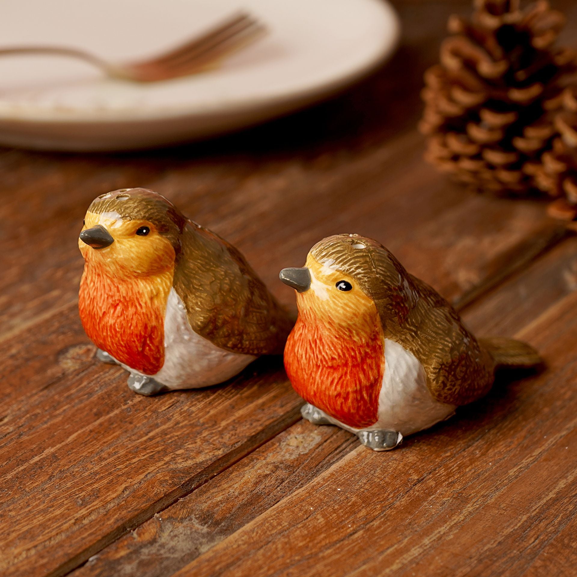 Country Living Robin Salt & Pepper Pots