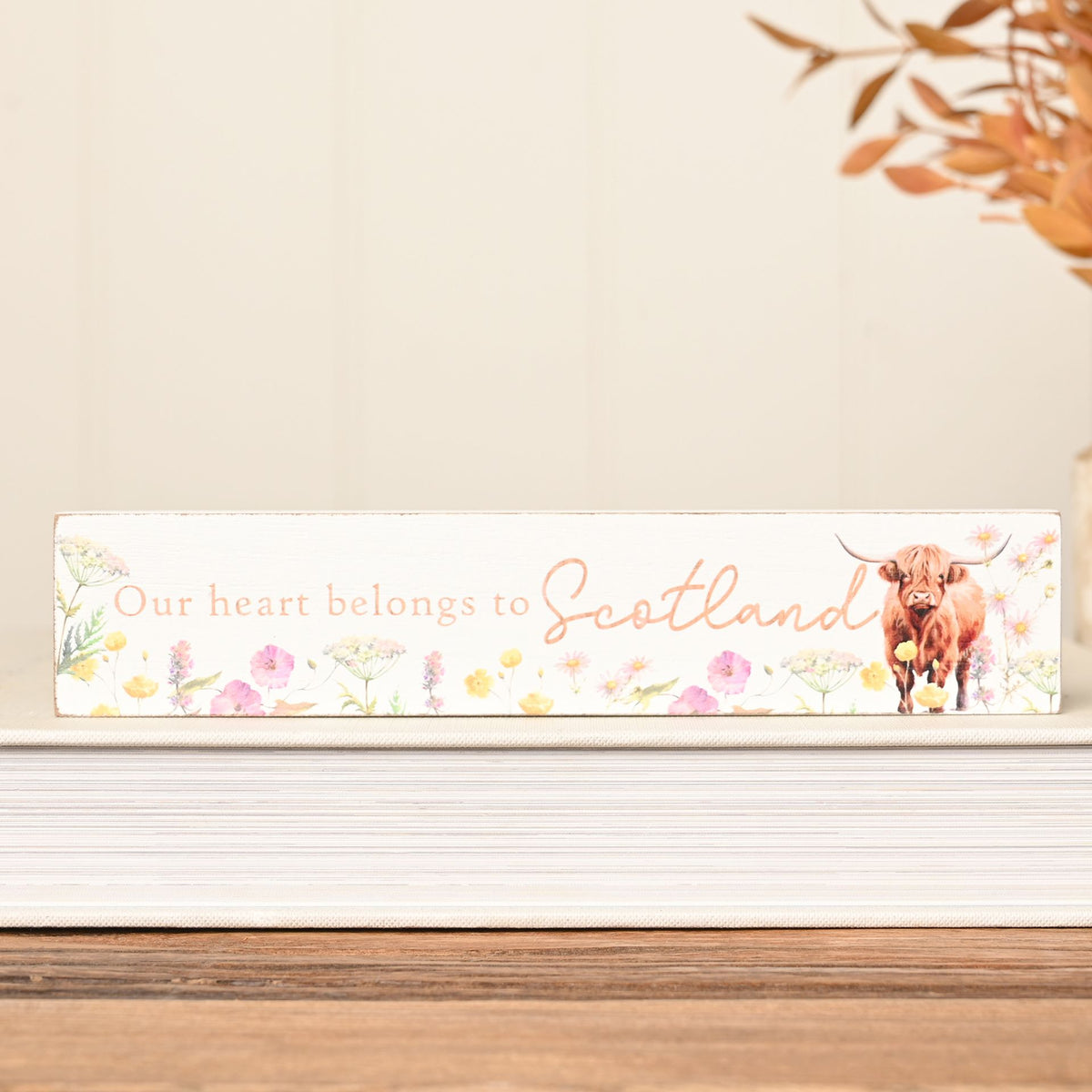 Country Living Set of 36 Highland Cow Plaques and Display Stand - 6 Designs