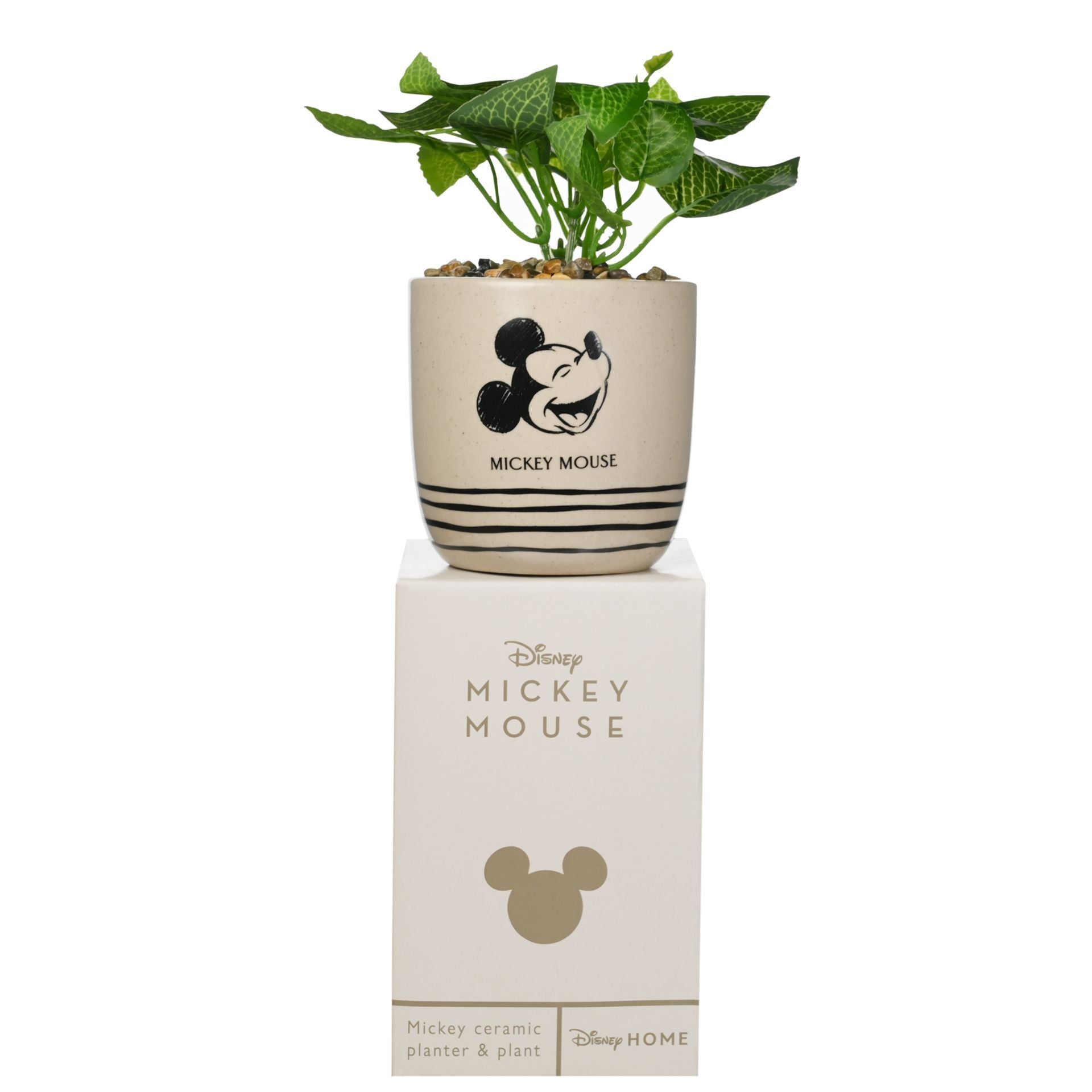 Disney Mickey Planter