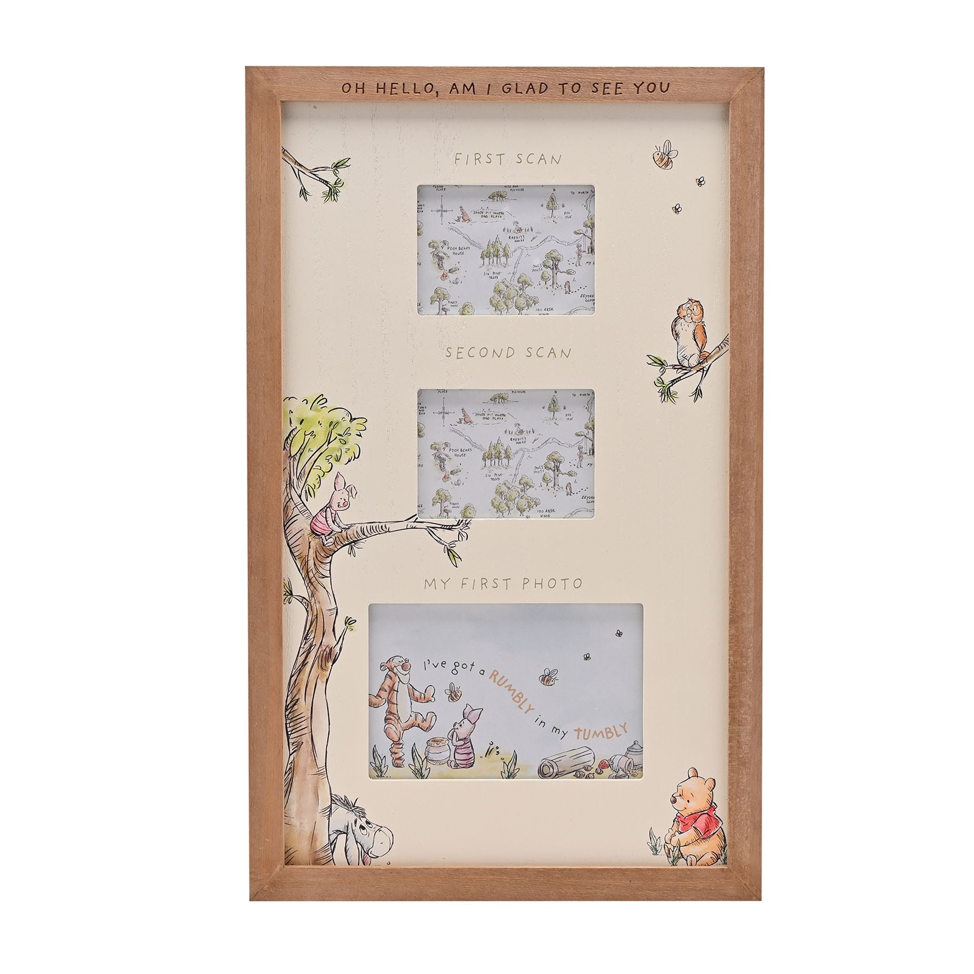 Disney Winnie The Pooh Multi Aperture Scan Frame