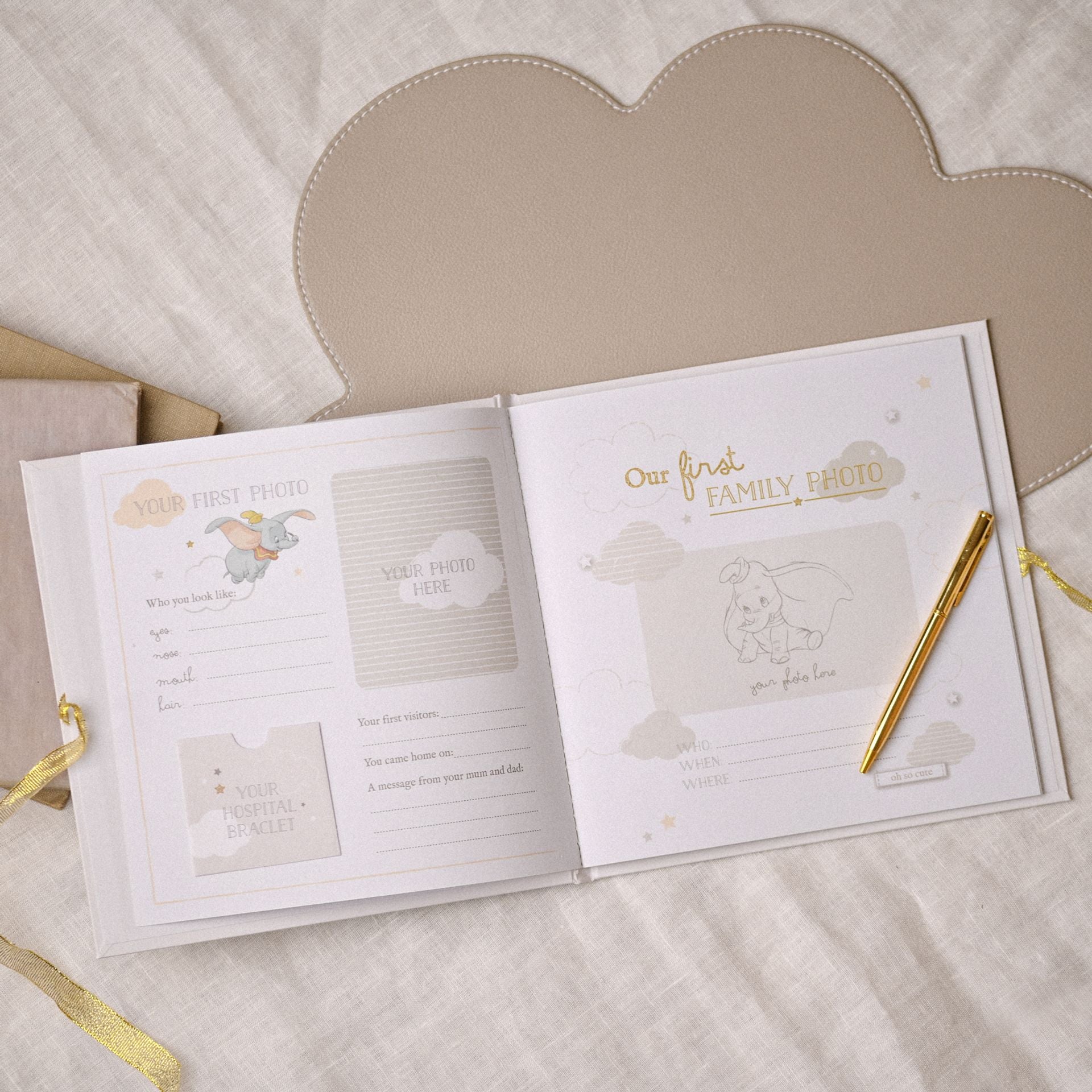 Disney Magical Beginnings My First Year Record Book