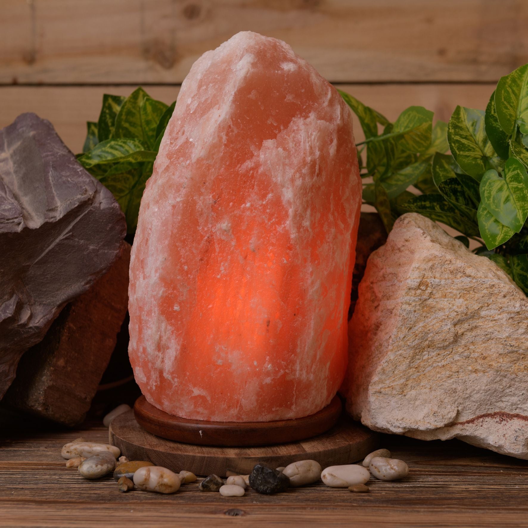 Large Rock Salt Lamp on Wooden Base