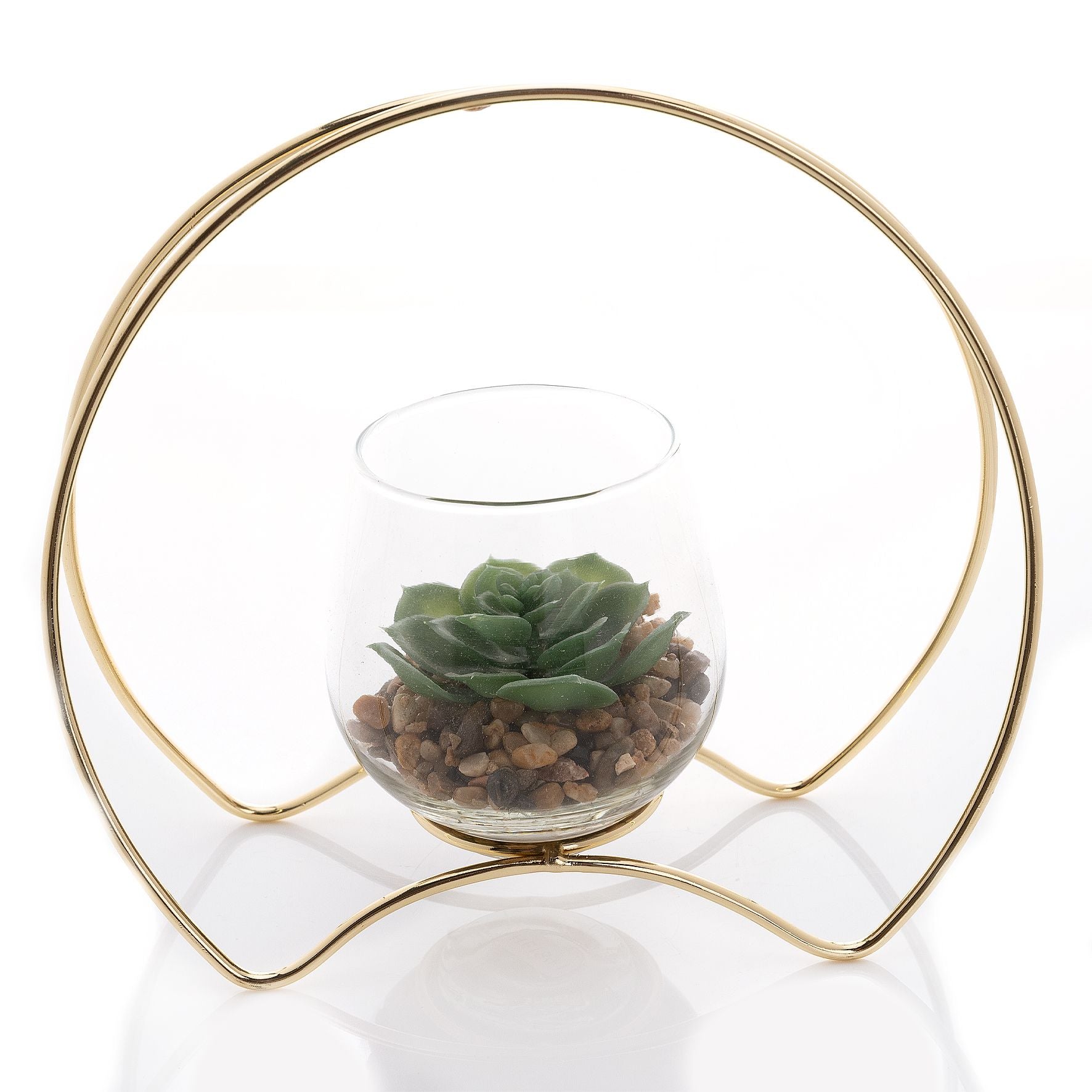 Hestia Single Succulent in Gold Hoop Frame