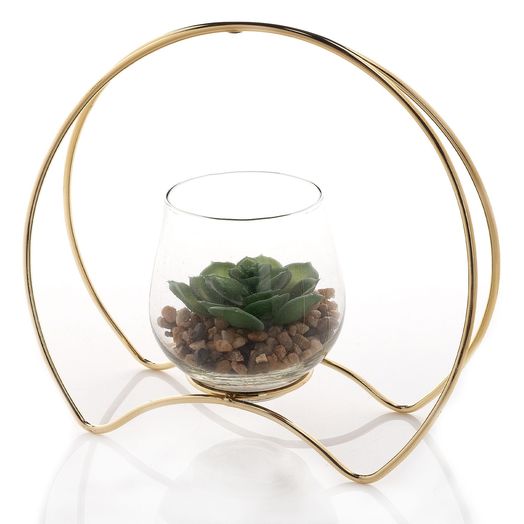Hestia Single Succulent in Gold Hoop Frame