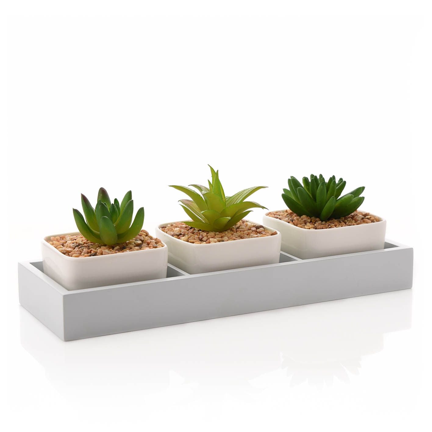 Trio of Plants in Tray 31cm